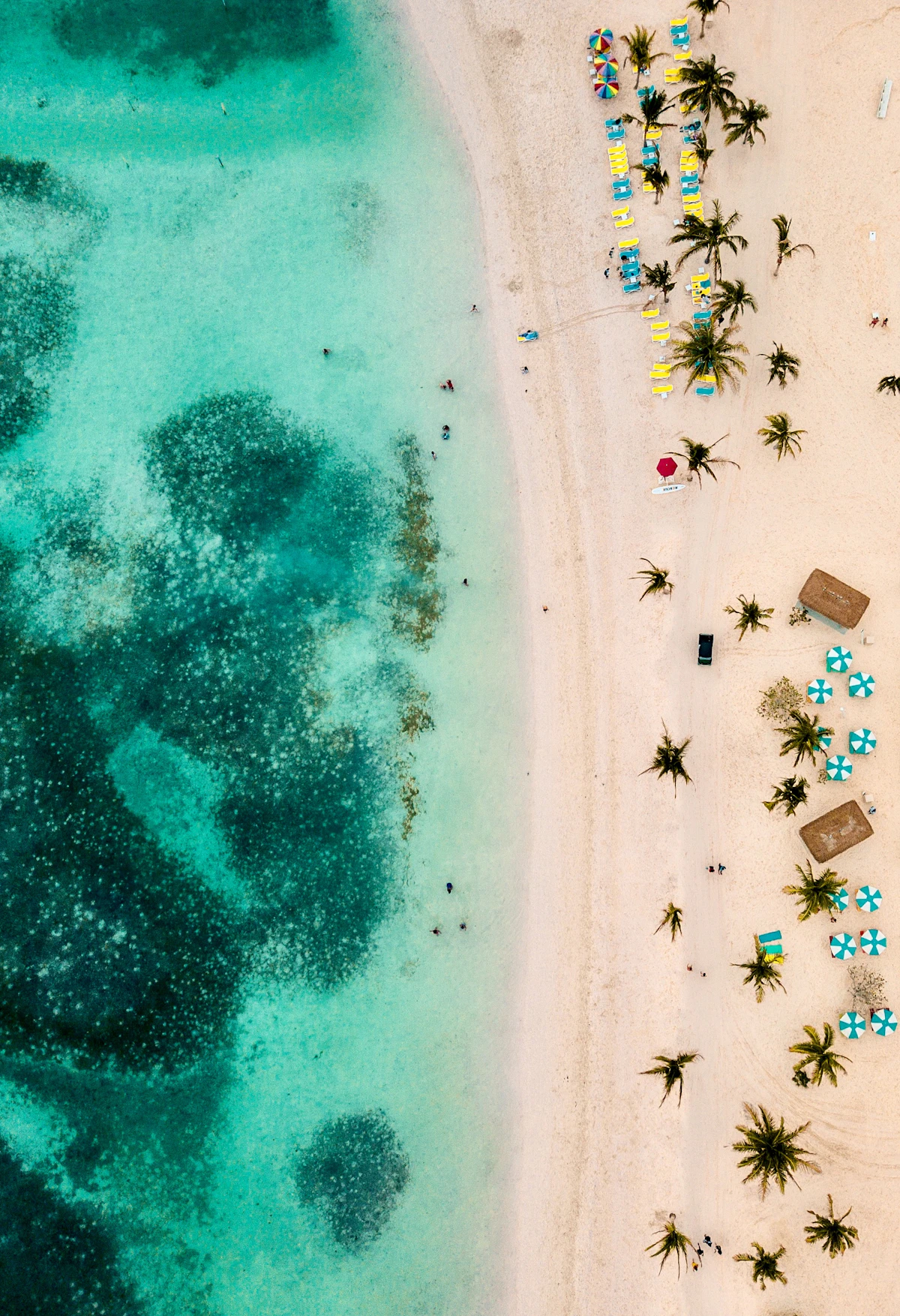 Busy Caribbean beach from above