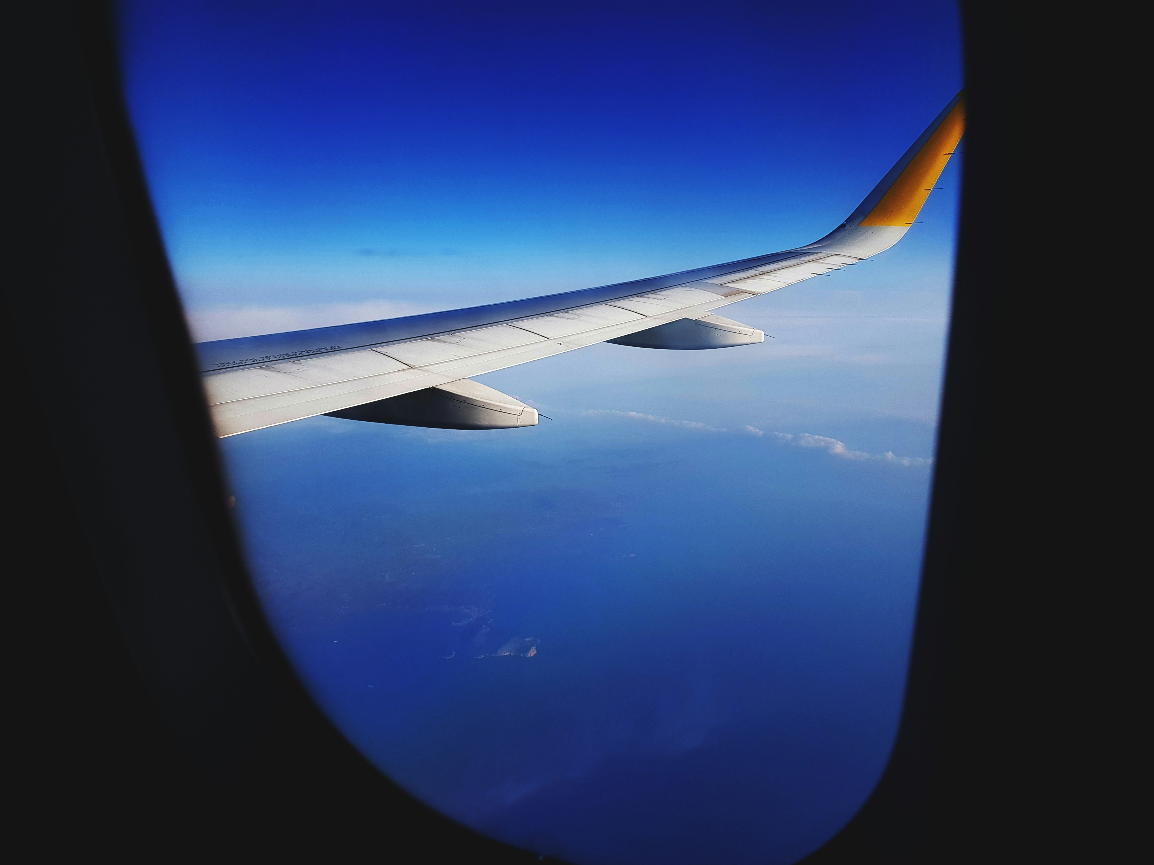 white and blue airplane wing