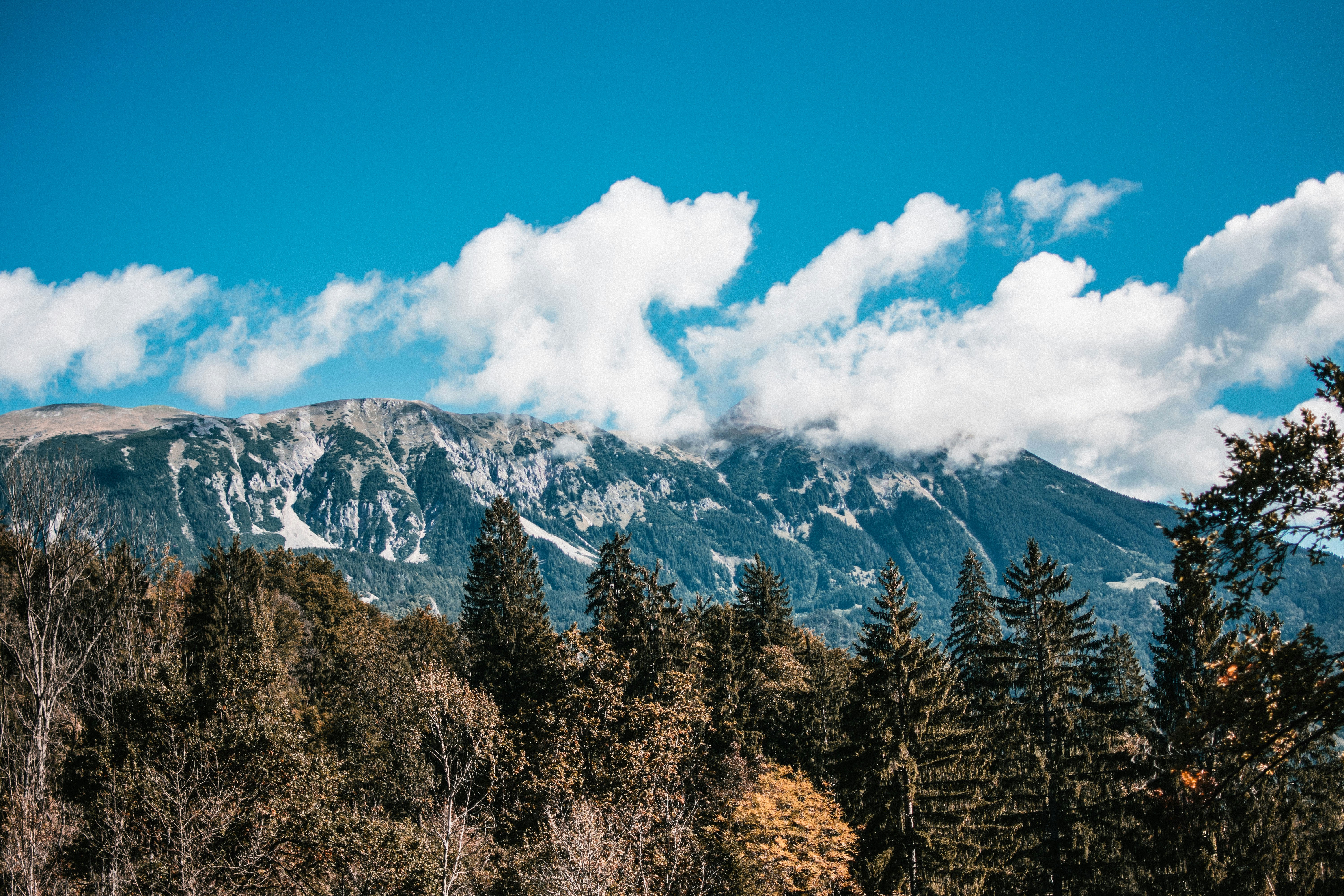 Photo by omarsotillo