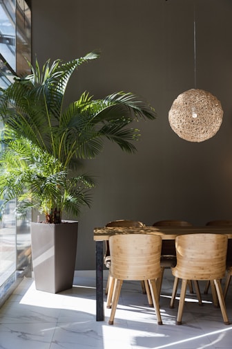A modern dining room with a wooden table and matching chairs bathed in natural light.