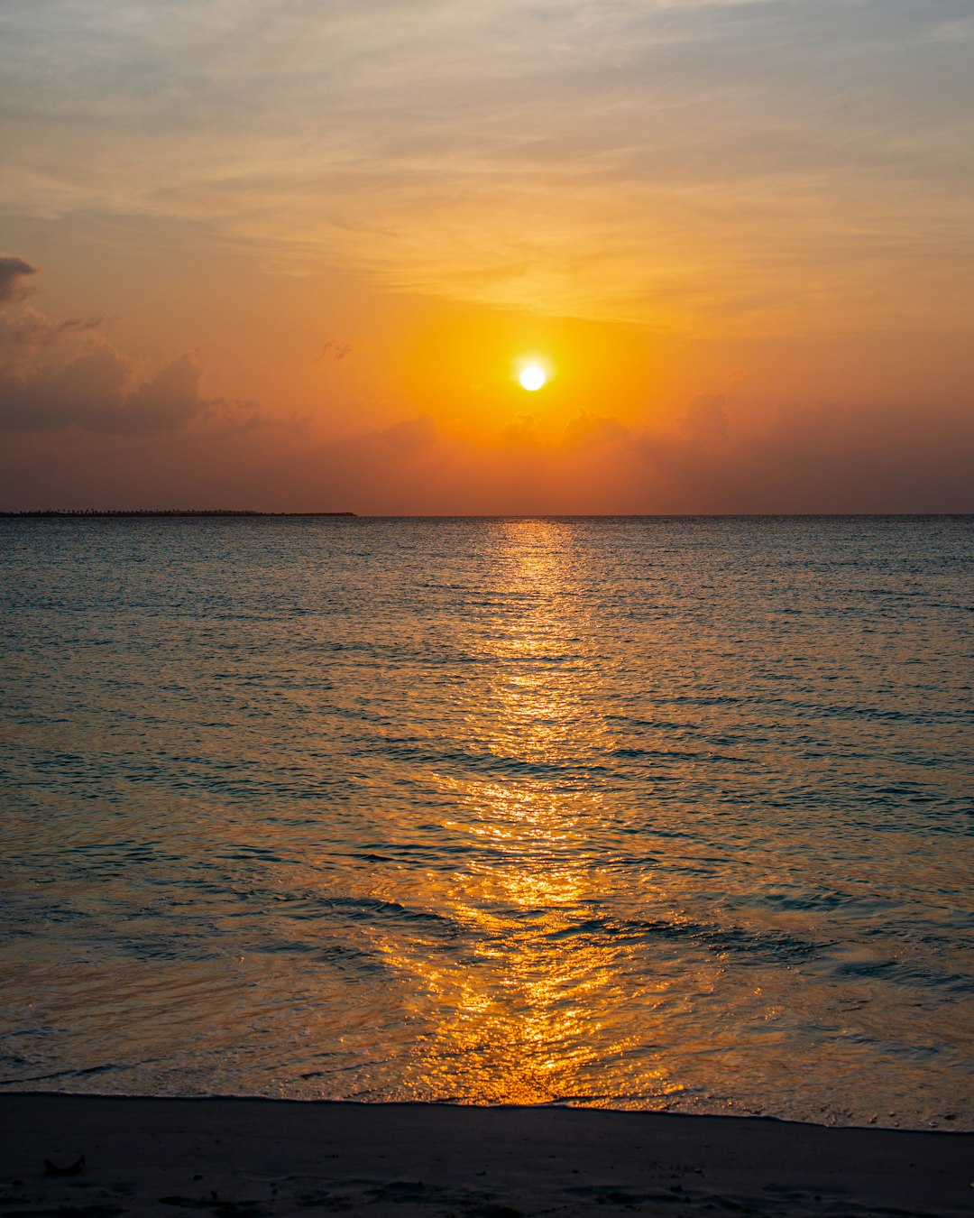 Ecoregion photo spot Weekend Beach Funadhoo Maldives