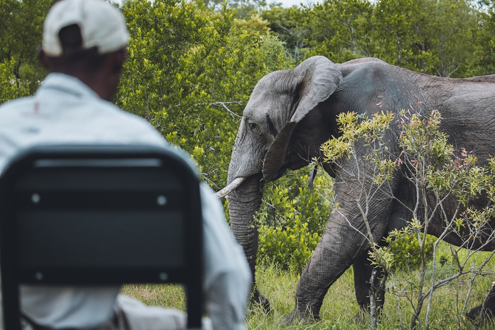 man in white shirt riding on elephant during daytime