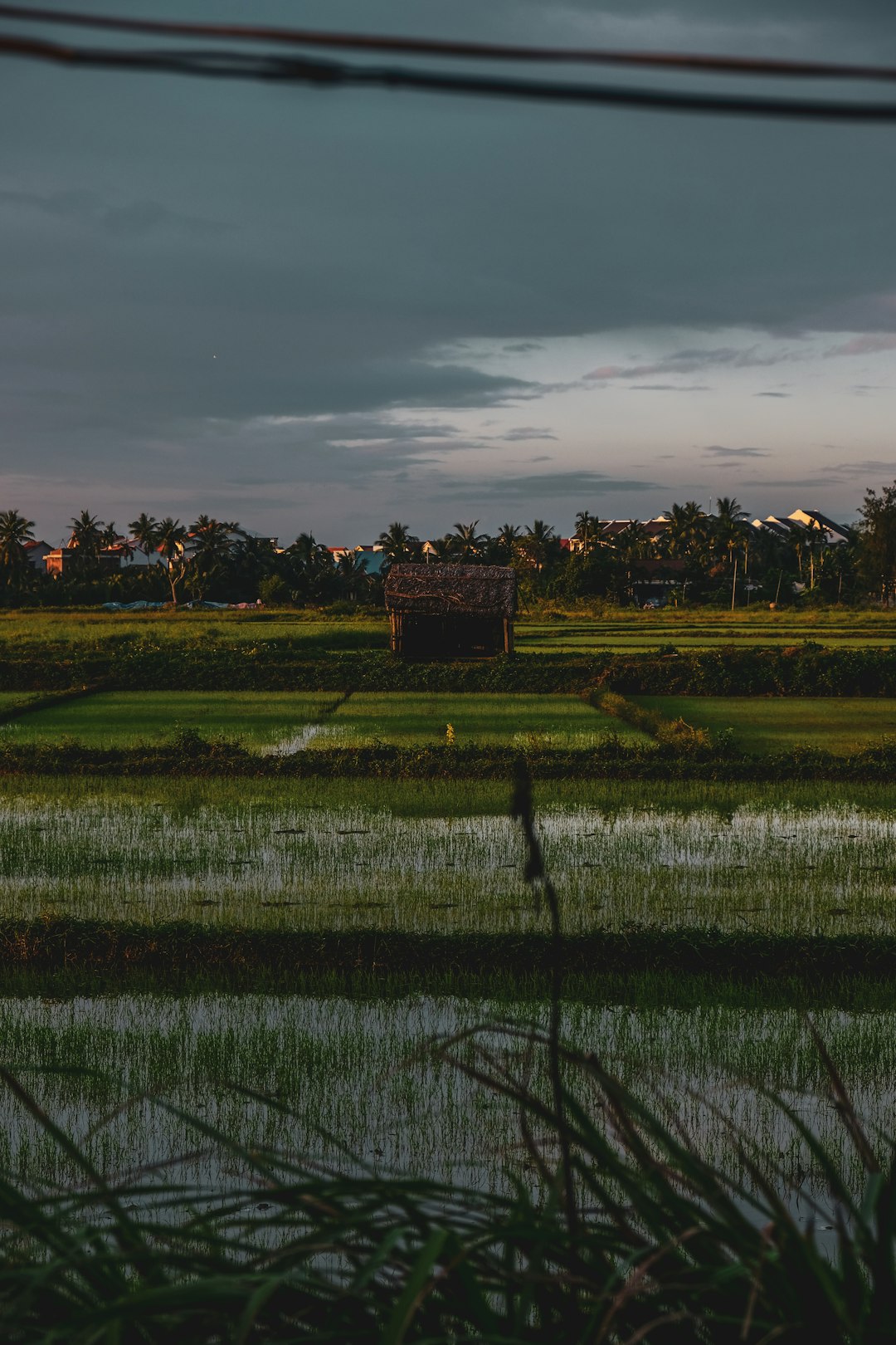 Plain photo spot Hoi An Vietnam