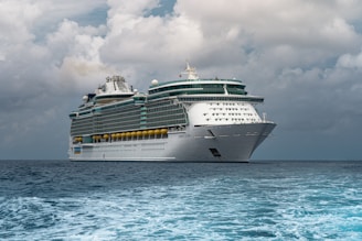 white cruise ship on sea under white clouds and blue sky during daytime