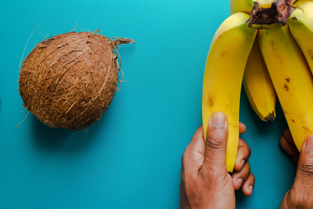 갈색 코코넛 과일 옆에 노란색 바나나 과일