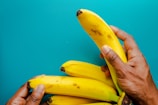 A close-up of hands holding several ripe yellow bananas against a bright blue background. The bananas are slightly spotted, indicating ripeness, and are held gently, showcasing their vibrant color and smooth texture.