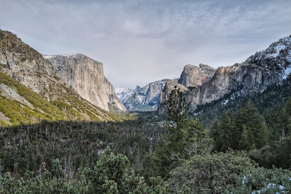 arbres verts près de la montagne sous ciel nuageux pendant la journée