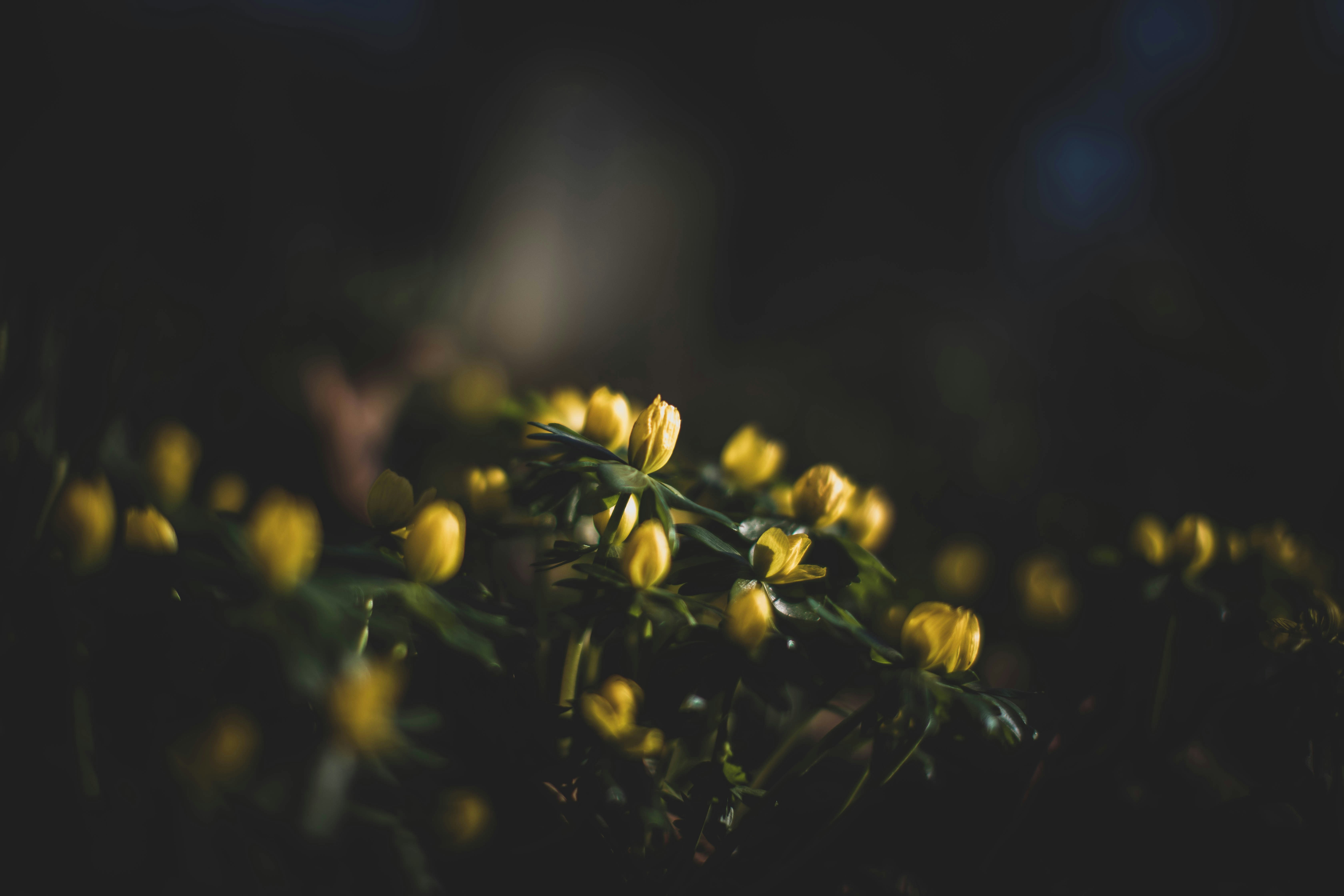 Photo by blackprojection