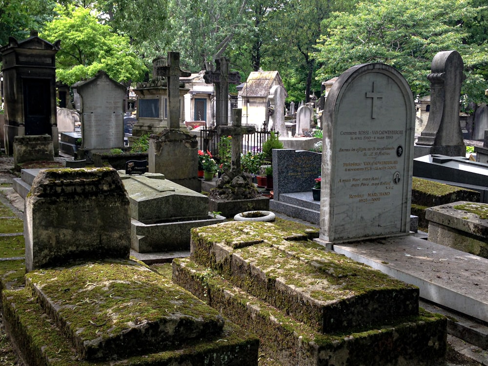 gray concrete tomb near green trees during daytime