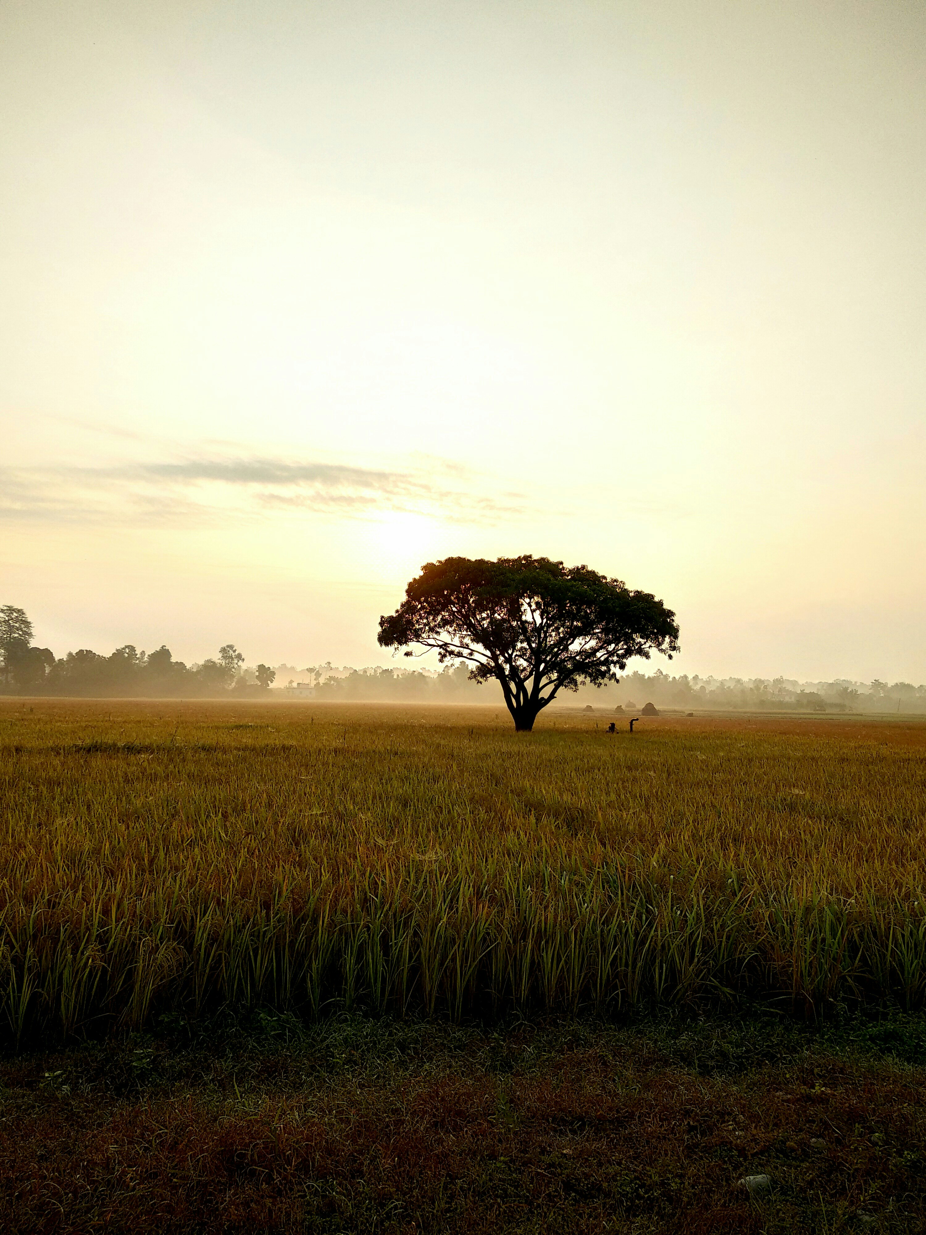 Photo by sagardahit