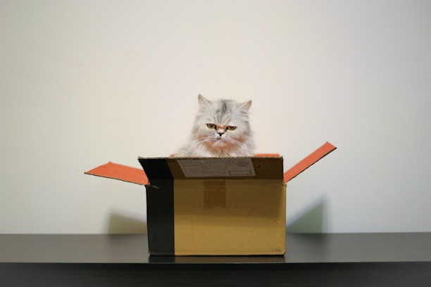 brown cardboard box on white table