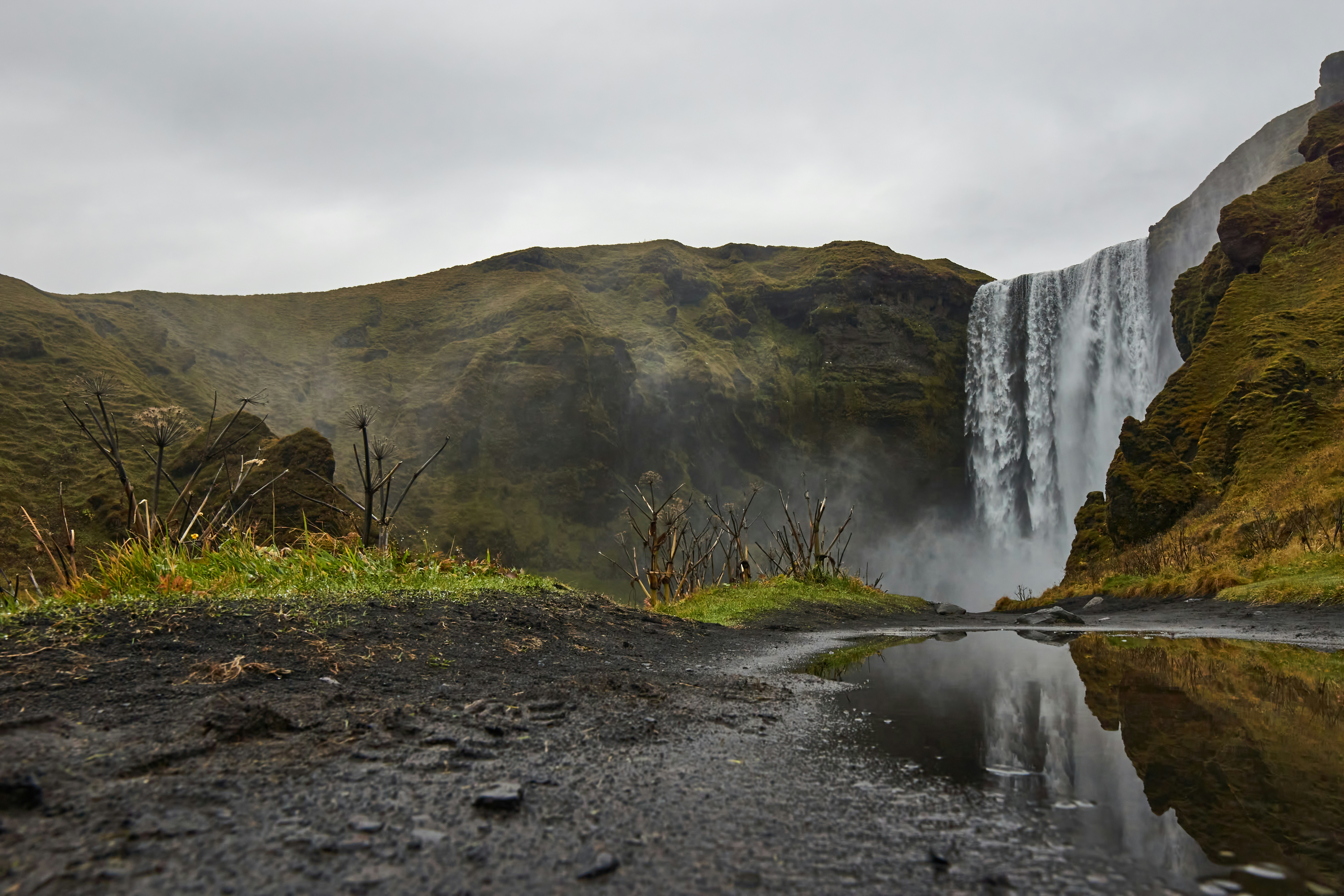 Photo by wolfgang_hasselmann