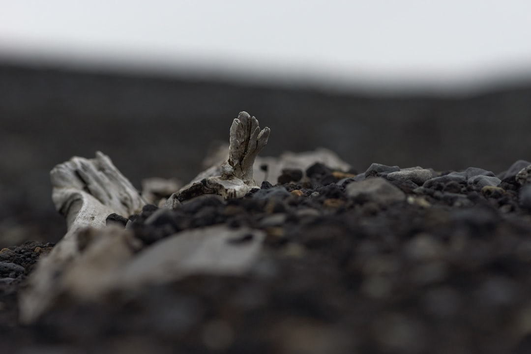 gray and black rocks on gray sand