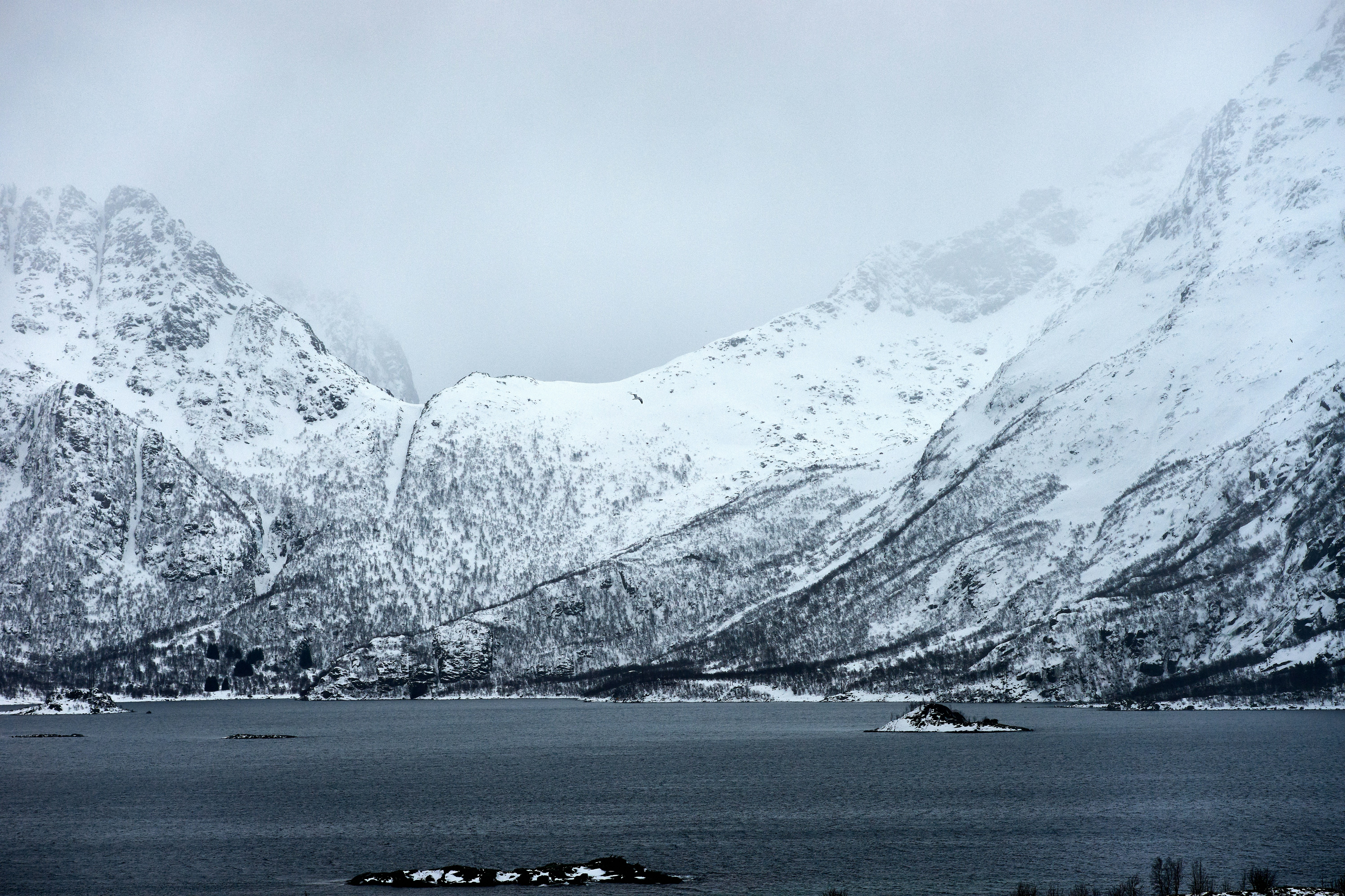 Photo by wolfgang_hasselmann