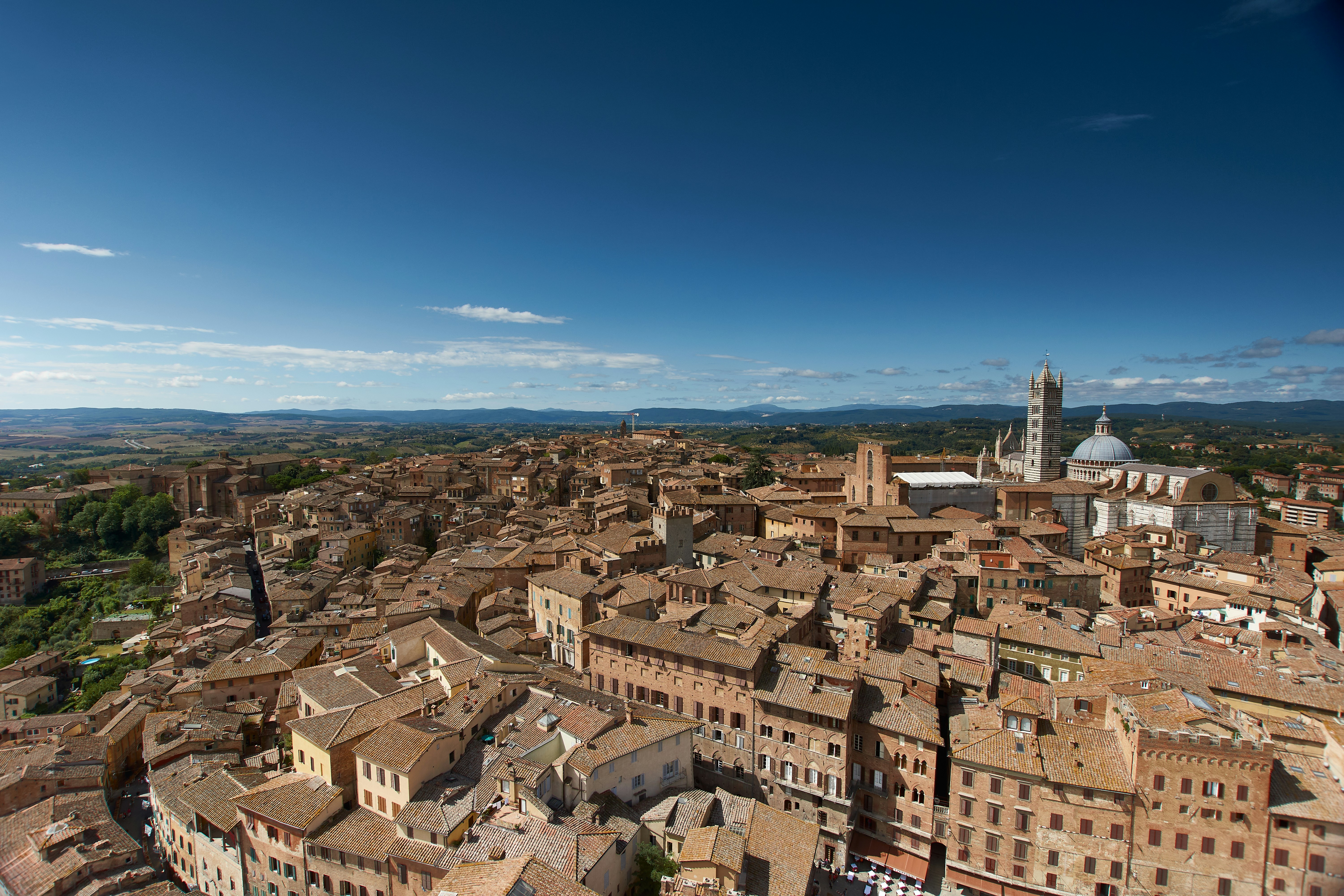 Photo by wolfgang_hasselmann