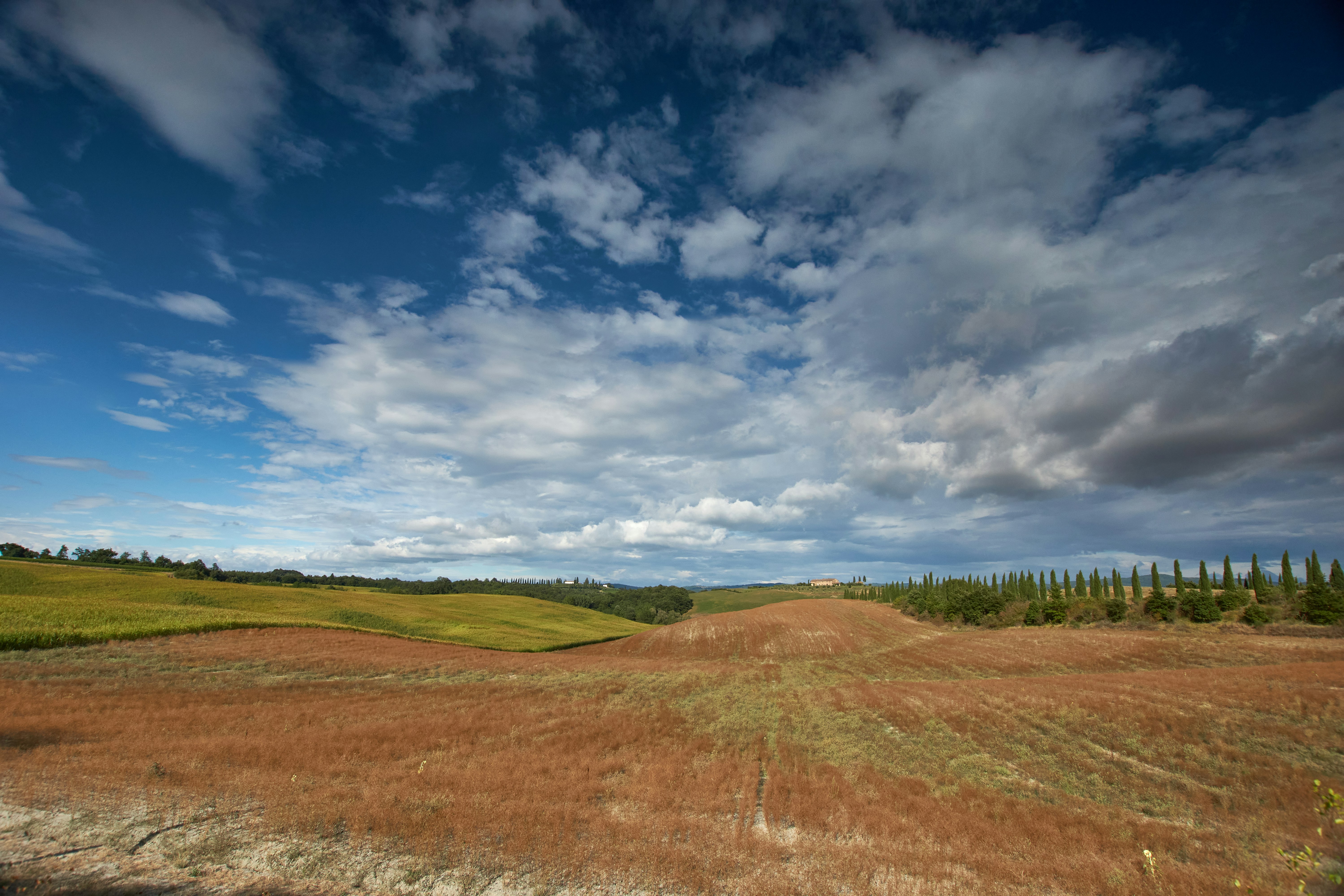 Photo by wolfgang_hasselmann