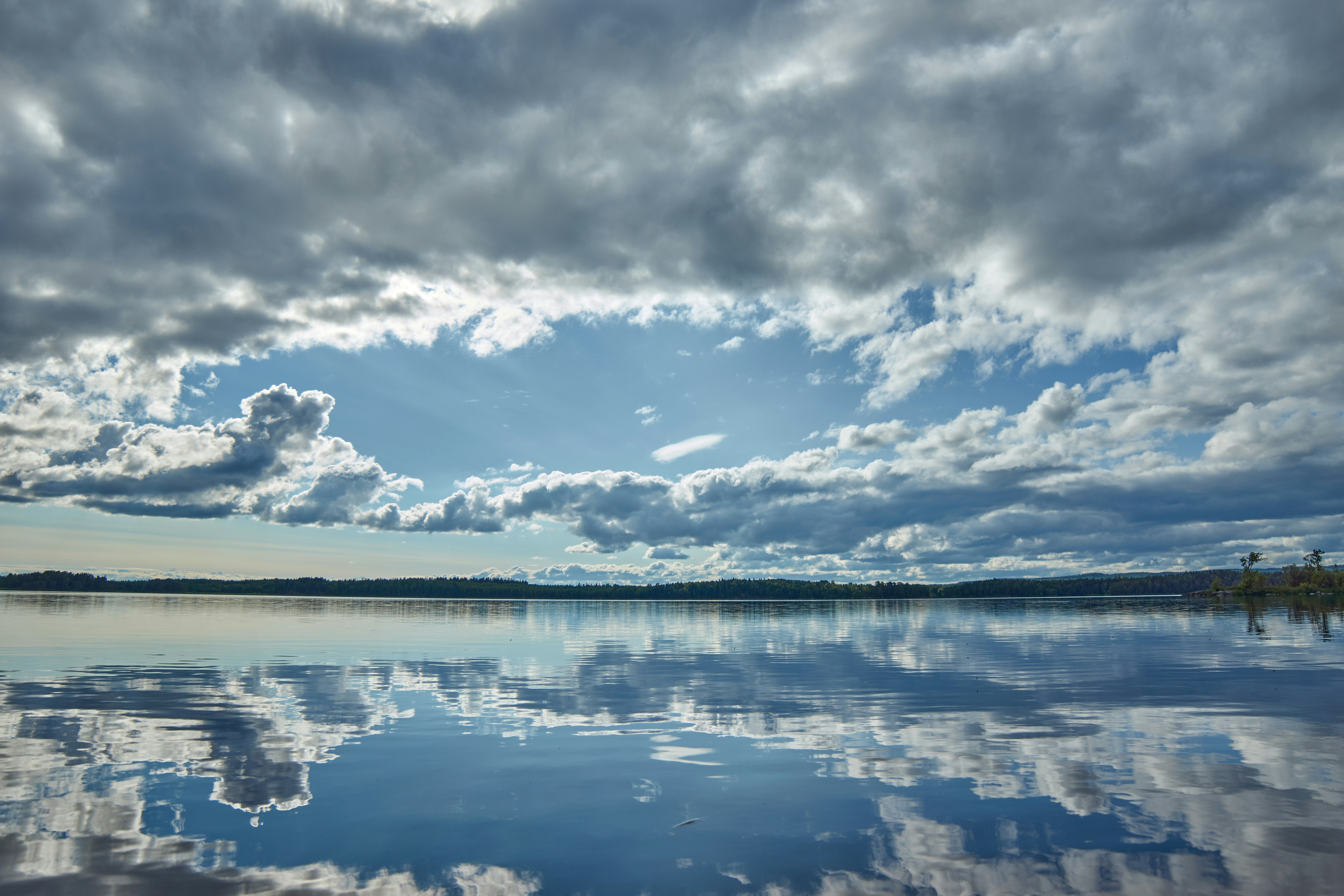 Photo by wolfgang_hasselmann