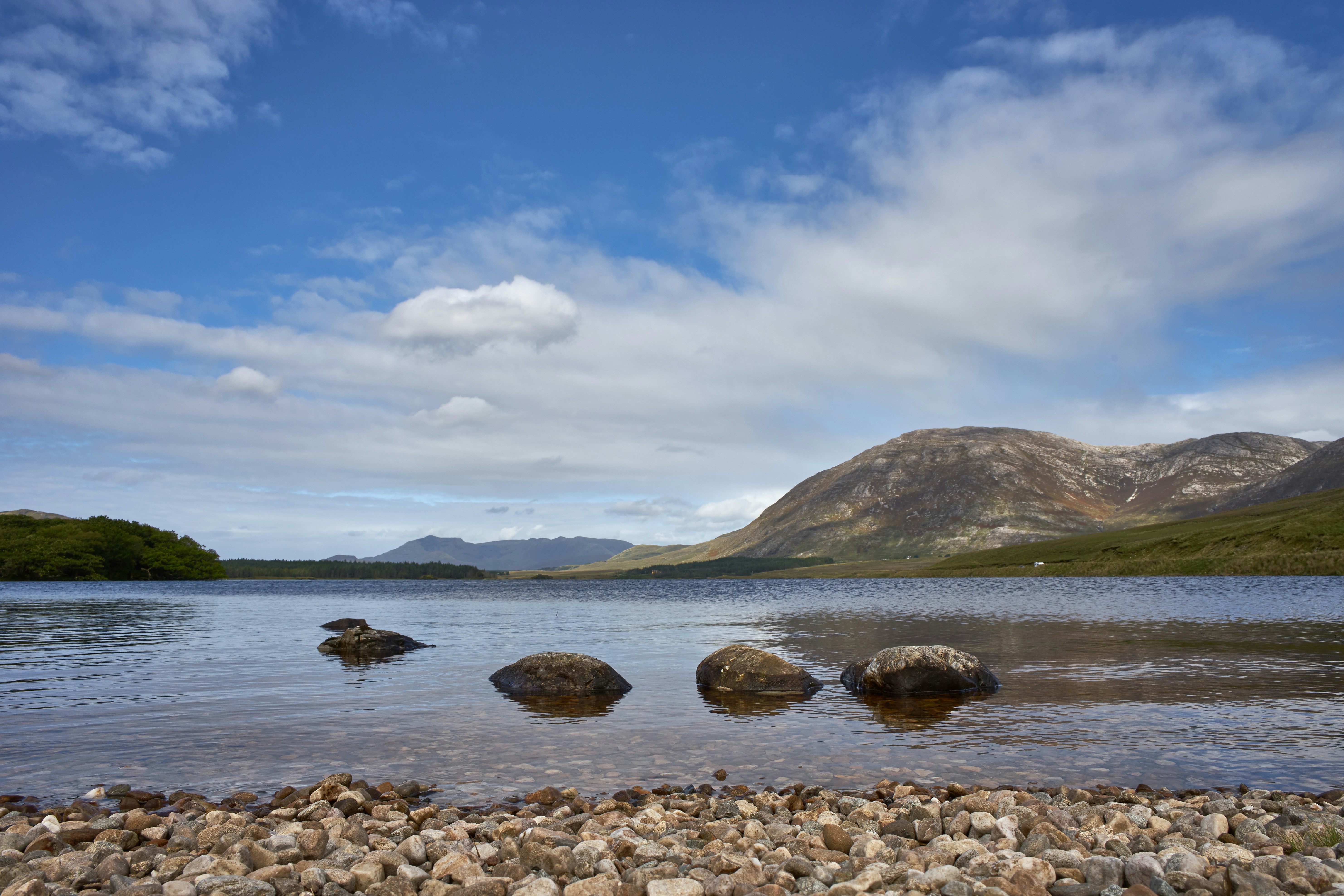 Photo by wolfgang_hasselmann