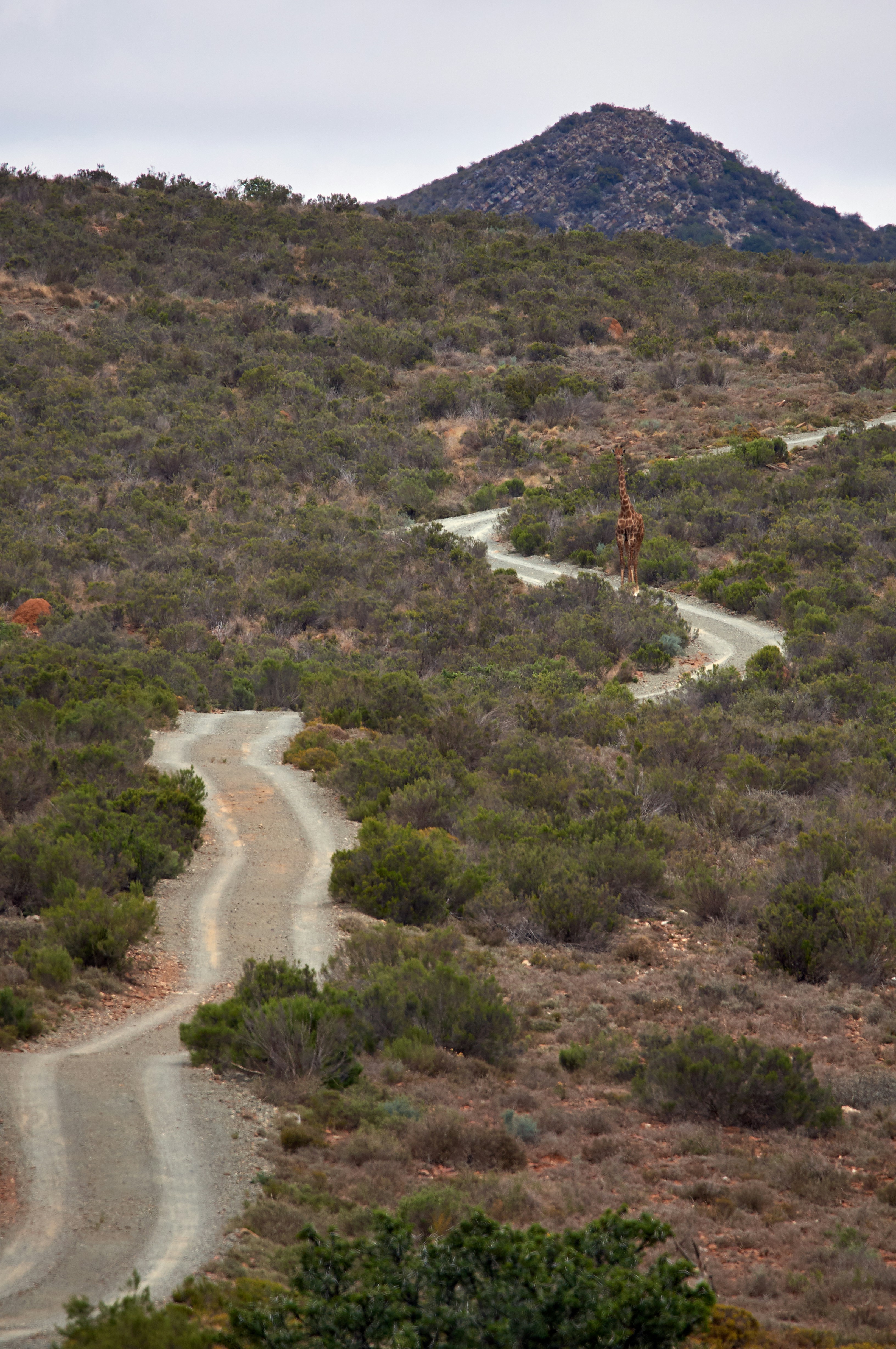 Photo by wolfgang_hasselmann