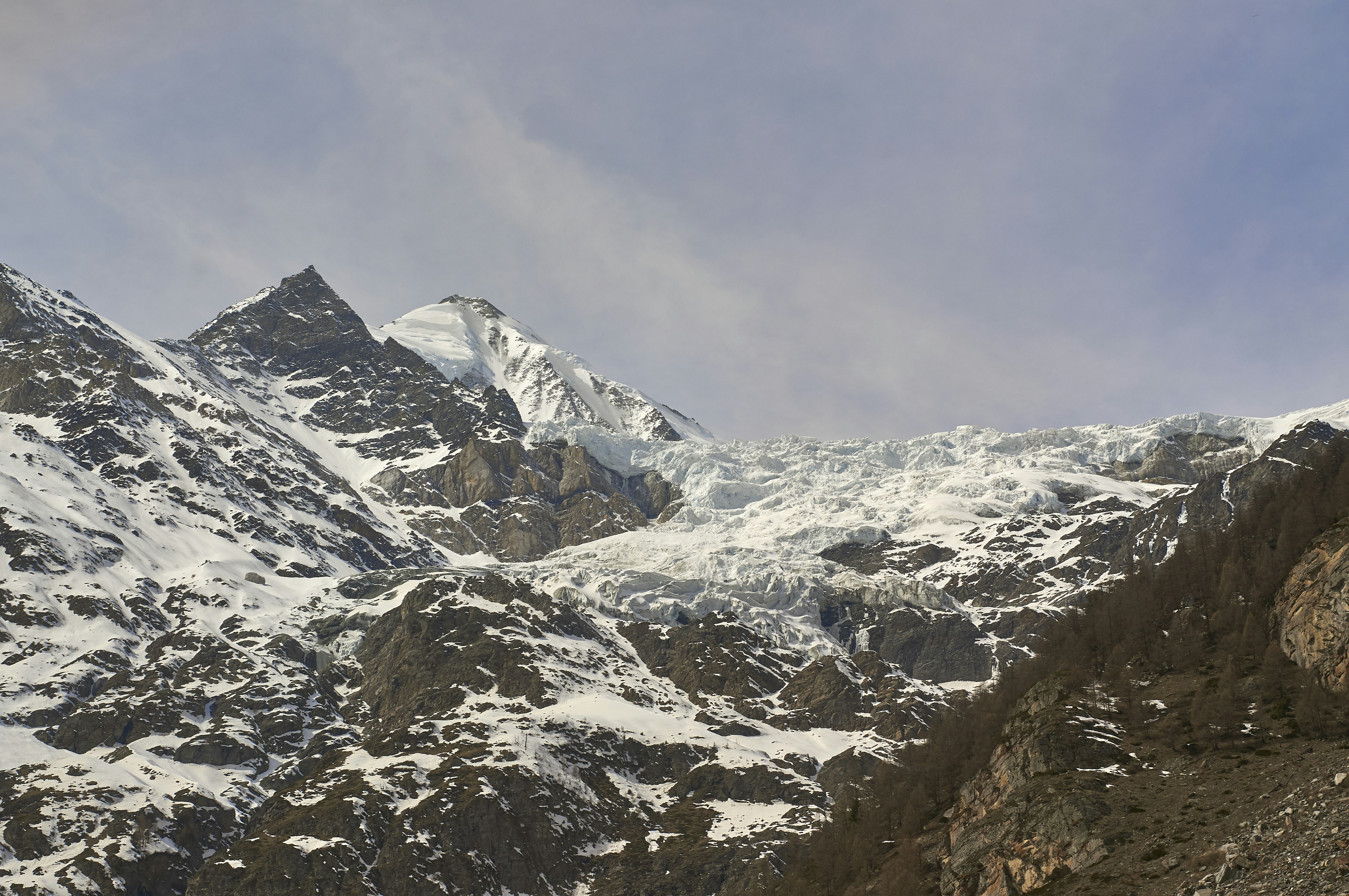 Photo by wolfgang_hasselmann