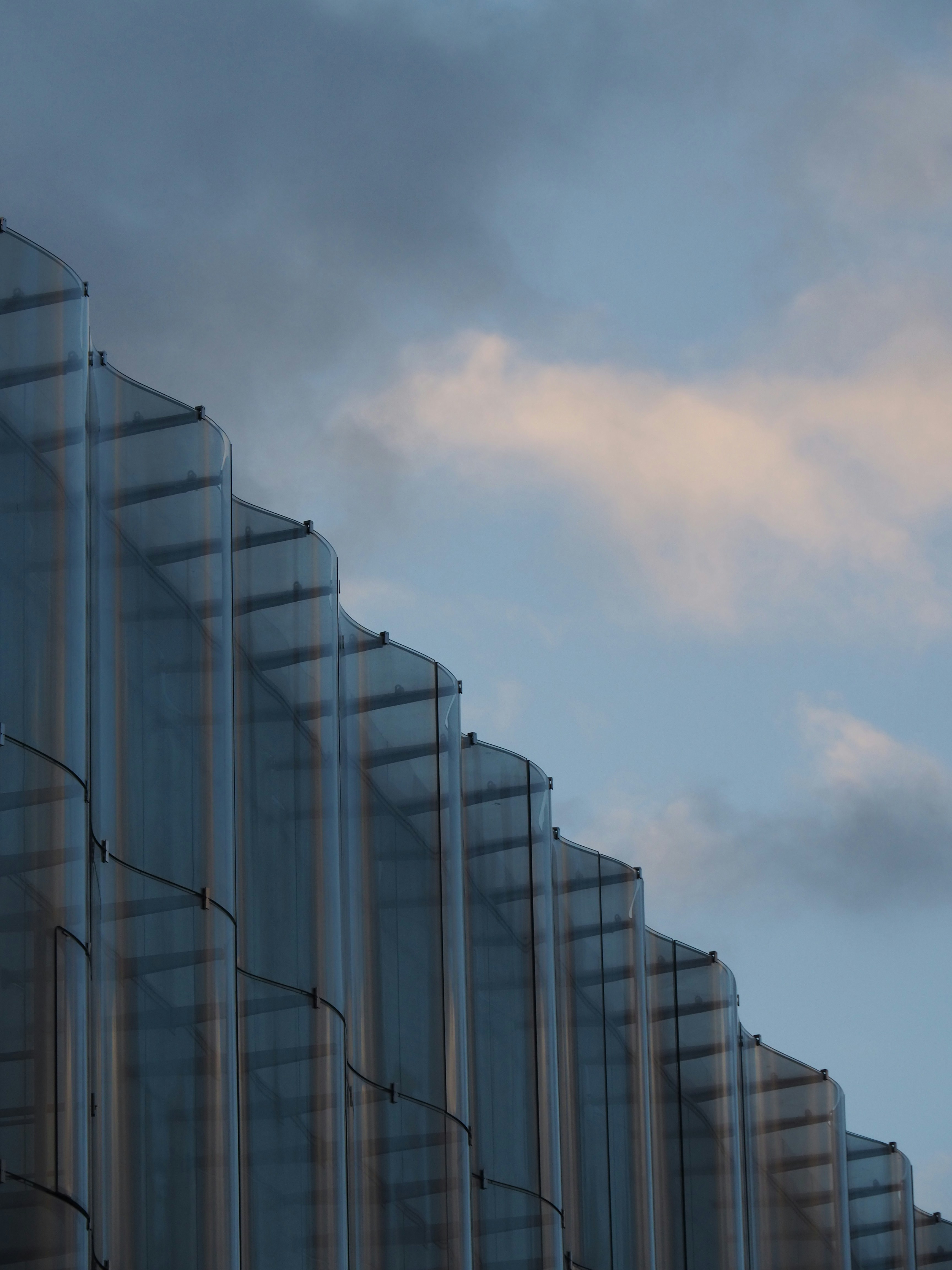 Photo by nimbus_vulpis