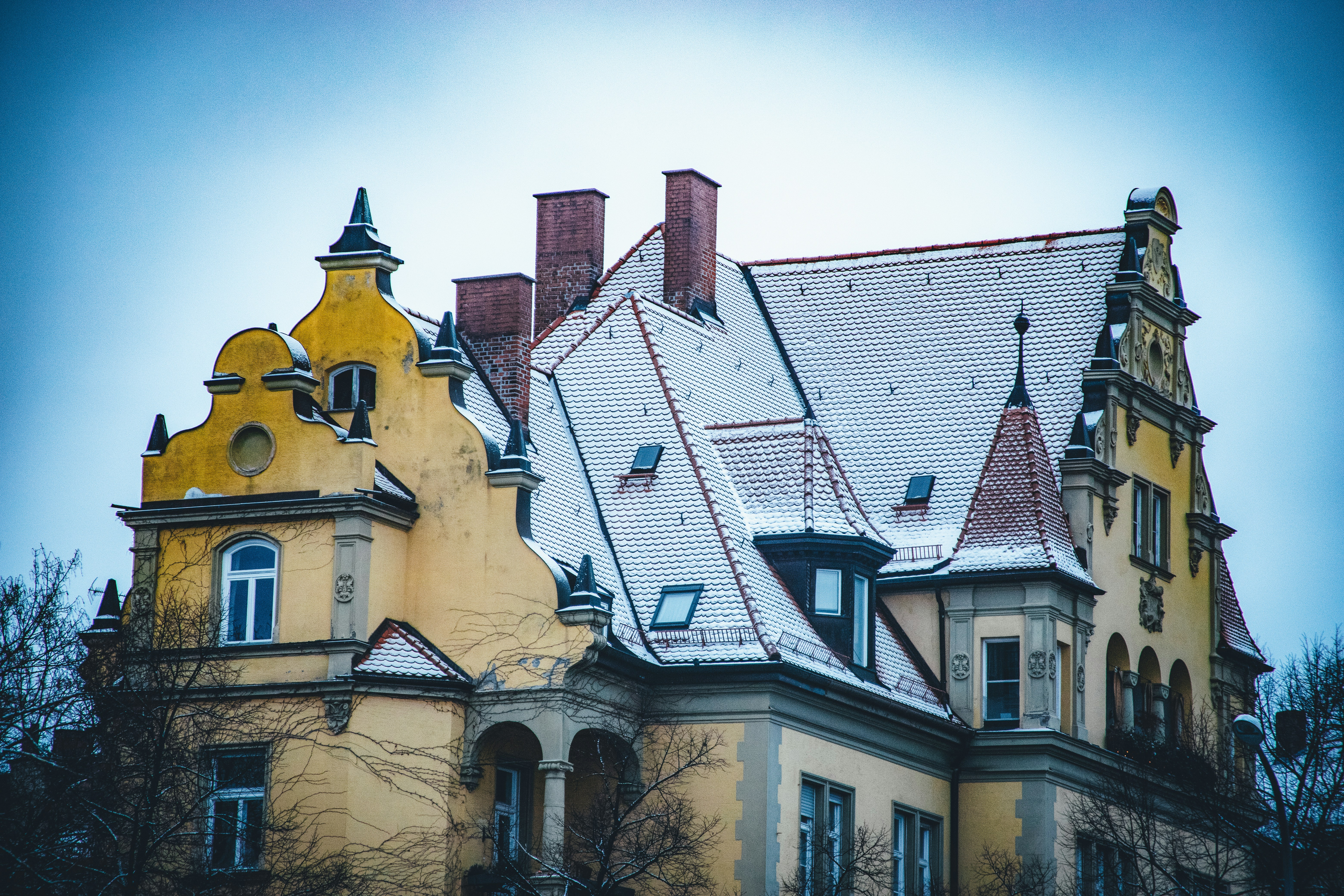 Photo by mastiniven