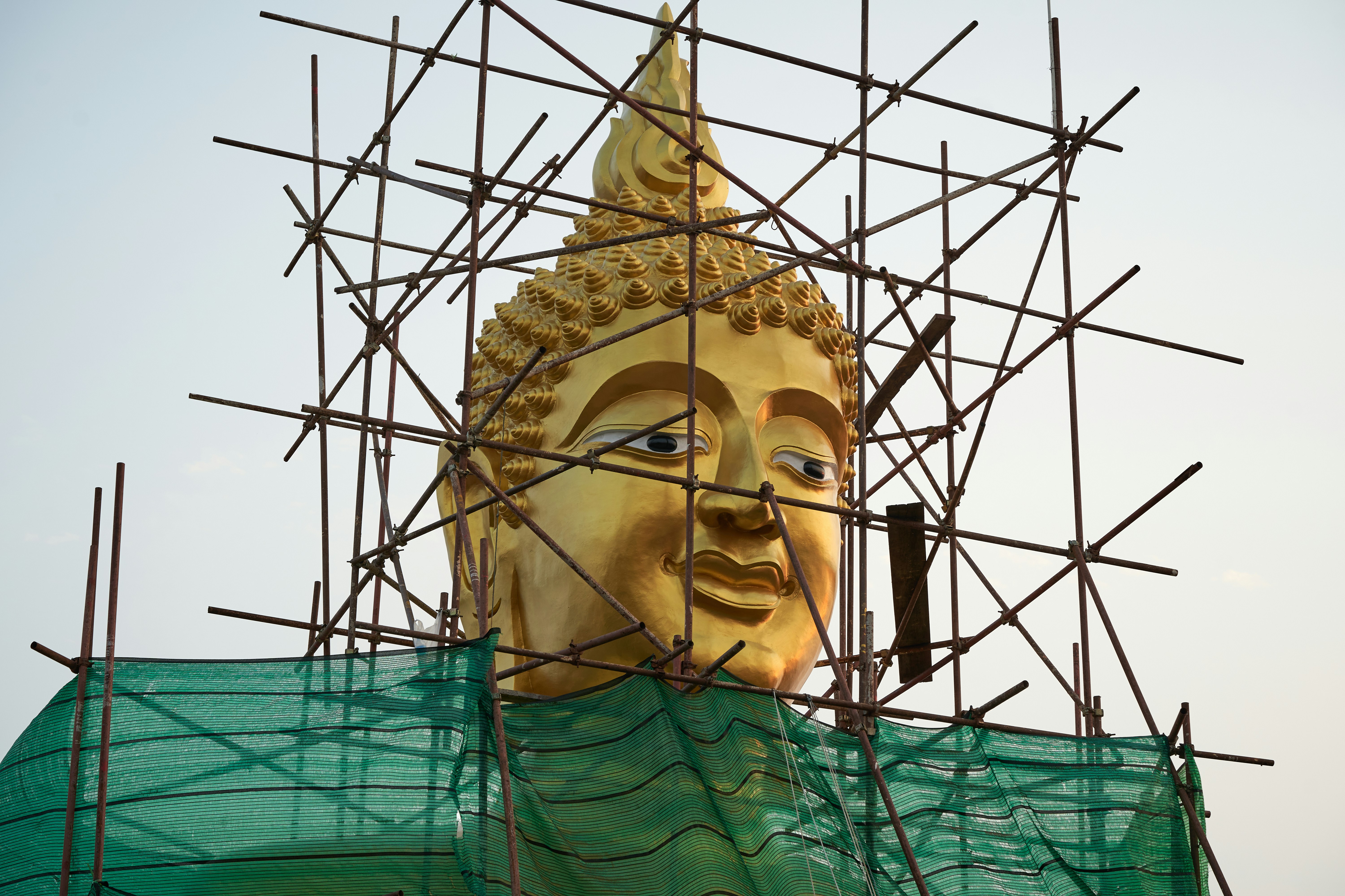 gold buddha statue in green knit sweater