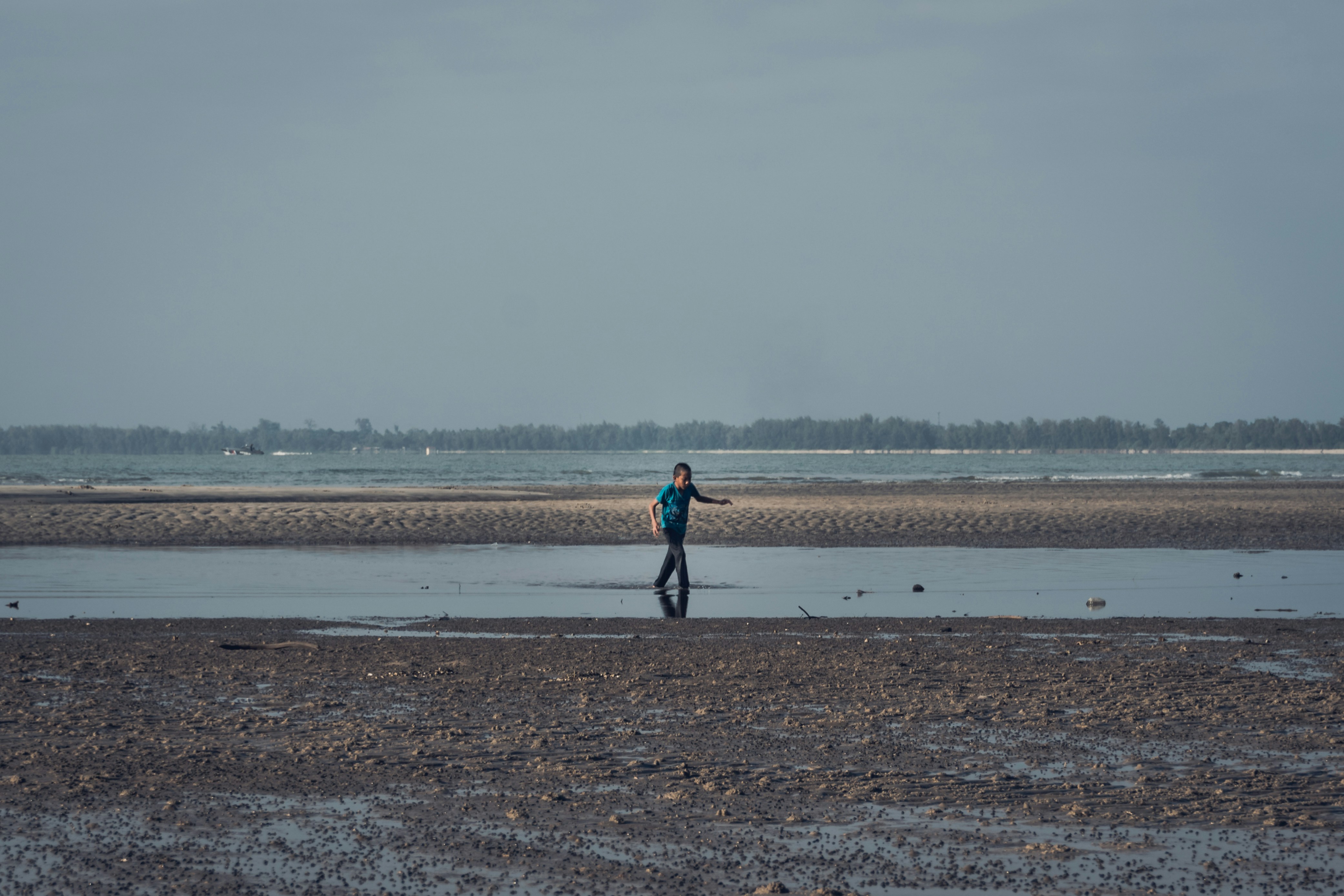 Photo by sesku