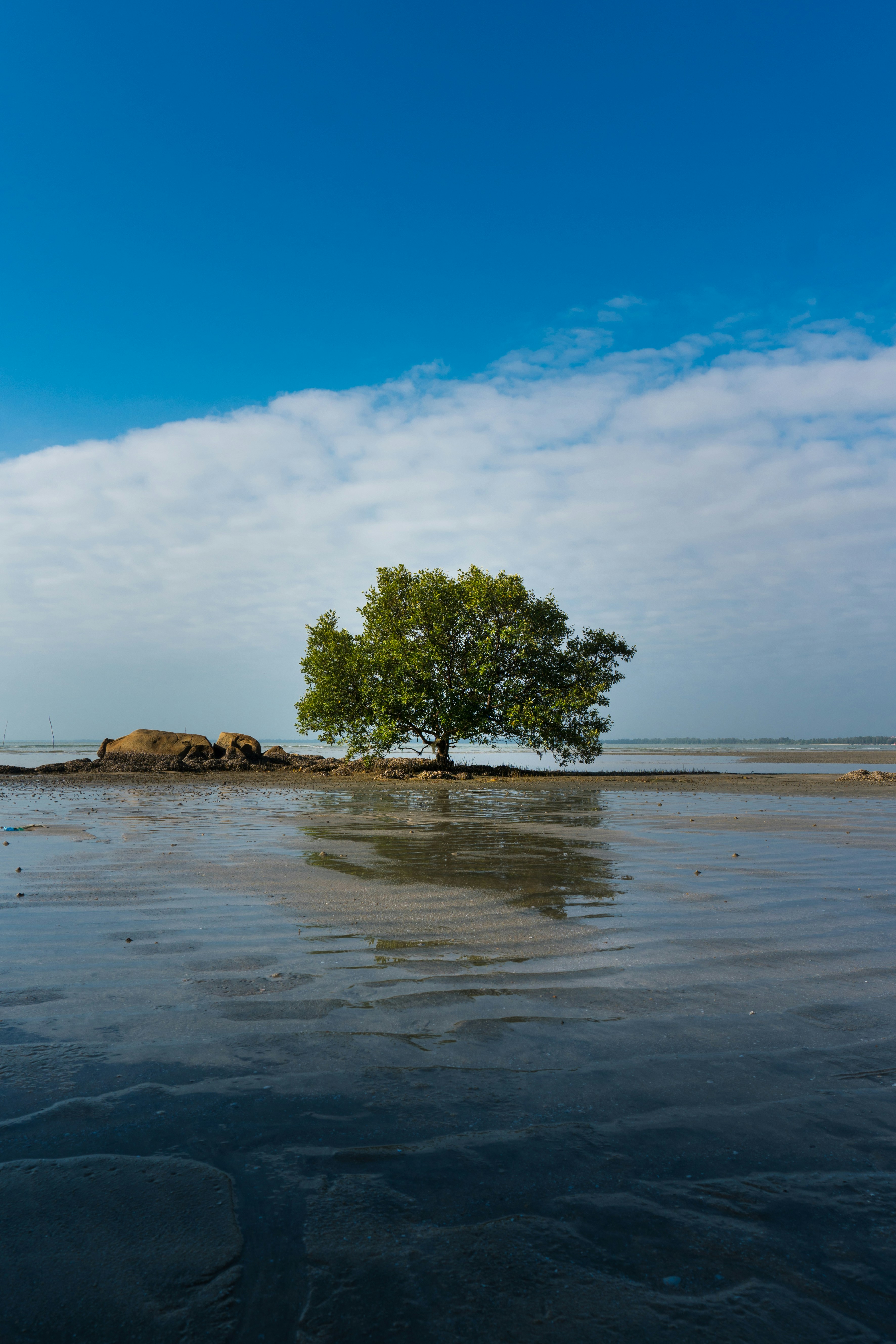 Photo by sesku