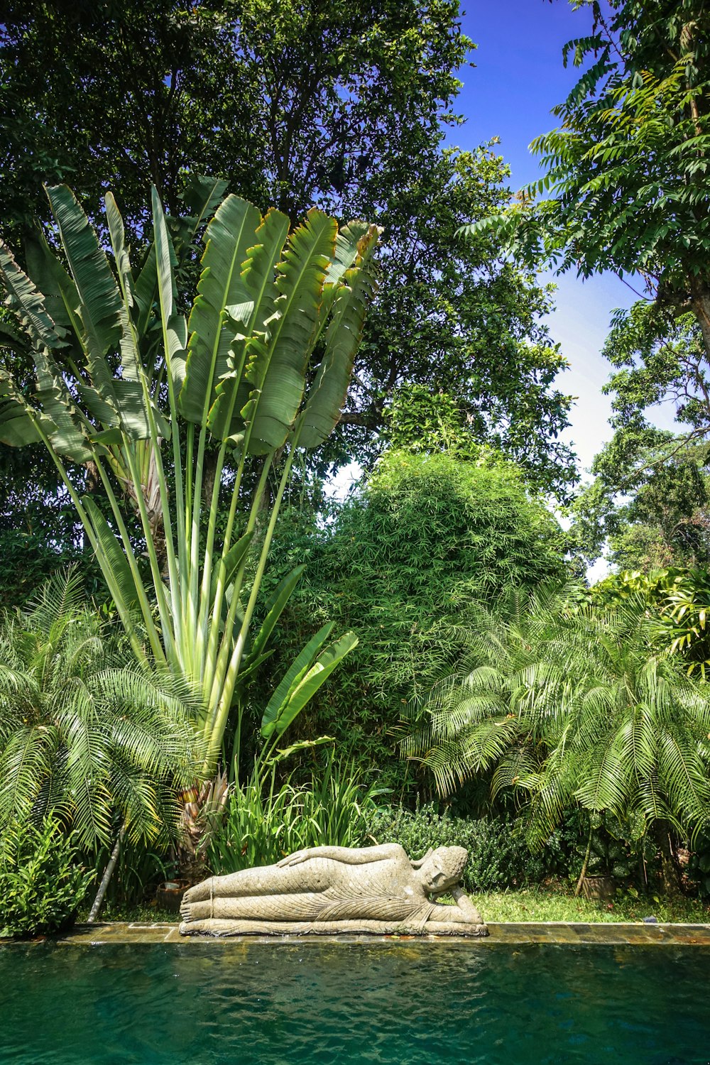 green palm tree under blue sky during daytime