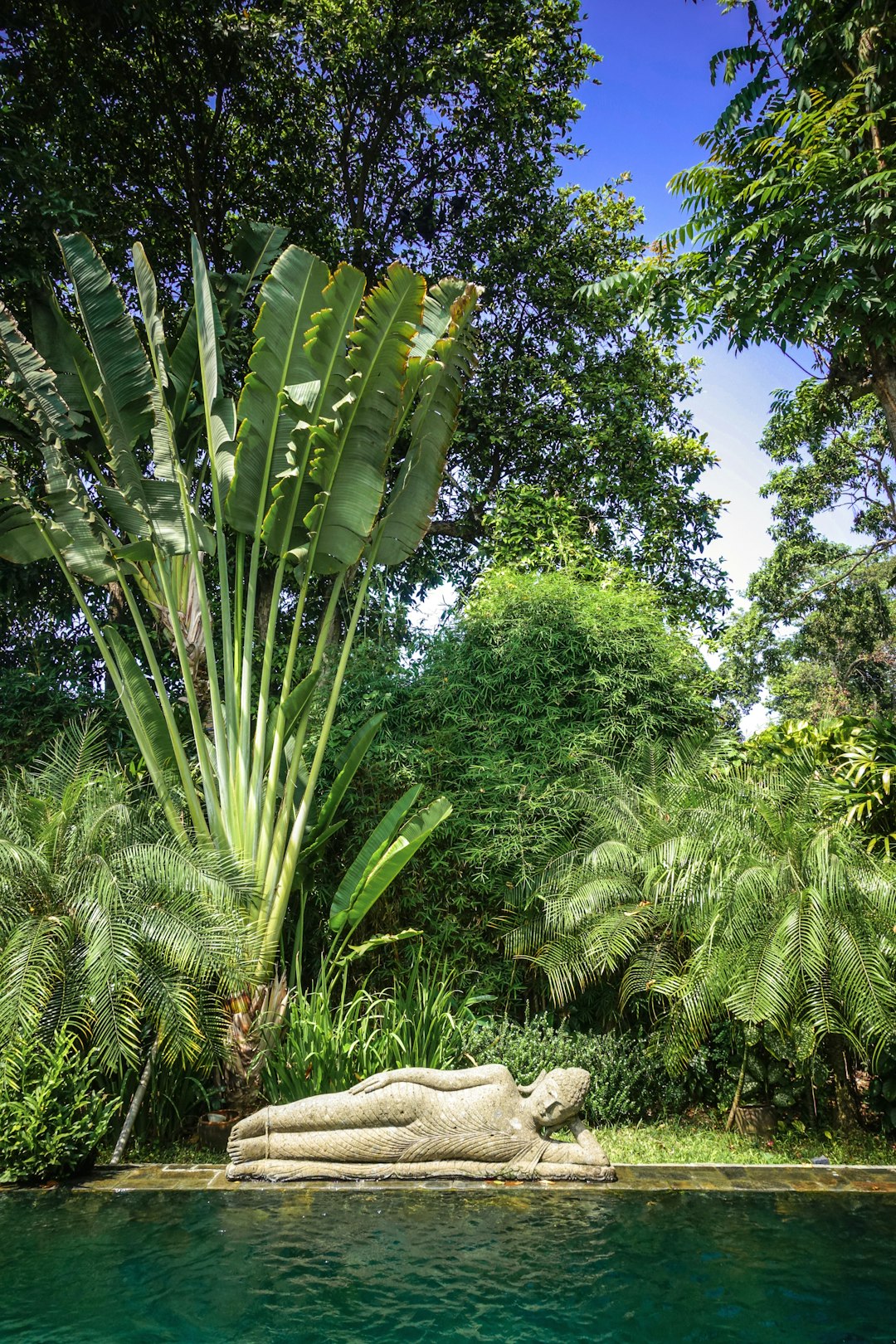 Tropics photo spot Villa Liola Kediri