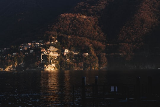 body of water near trees during night time in Como Italy