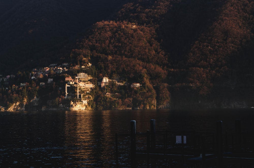 body of water near trees during night time