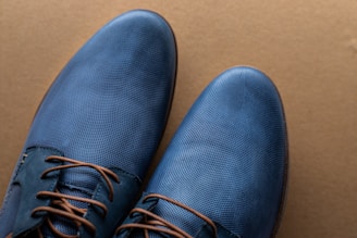 A stylish pair of shoes displayed on a wooden surface.