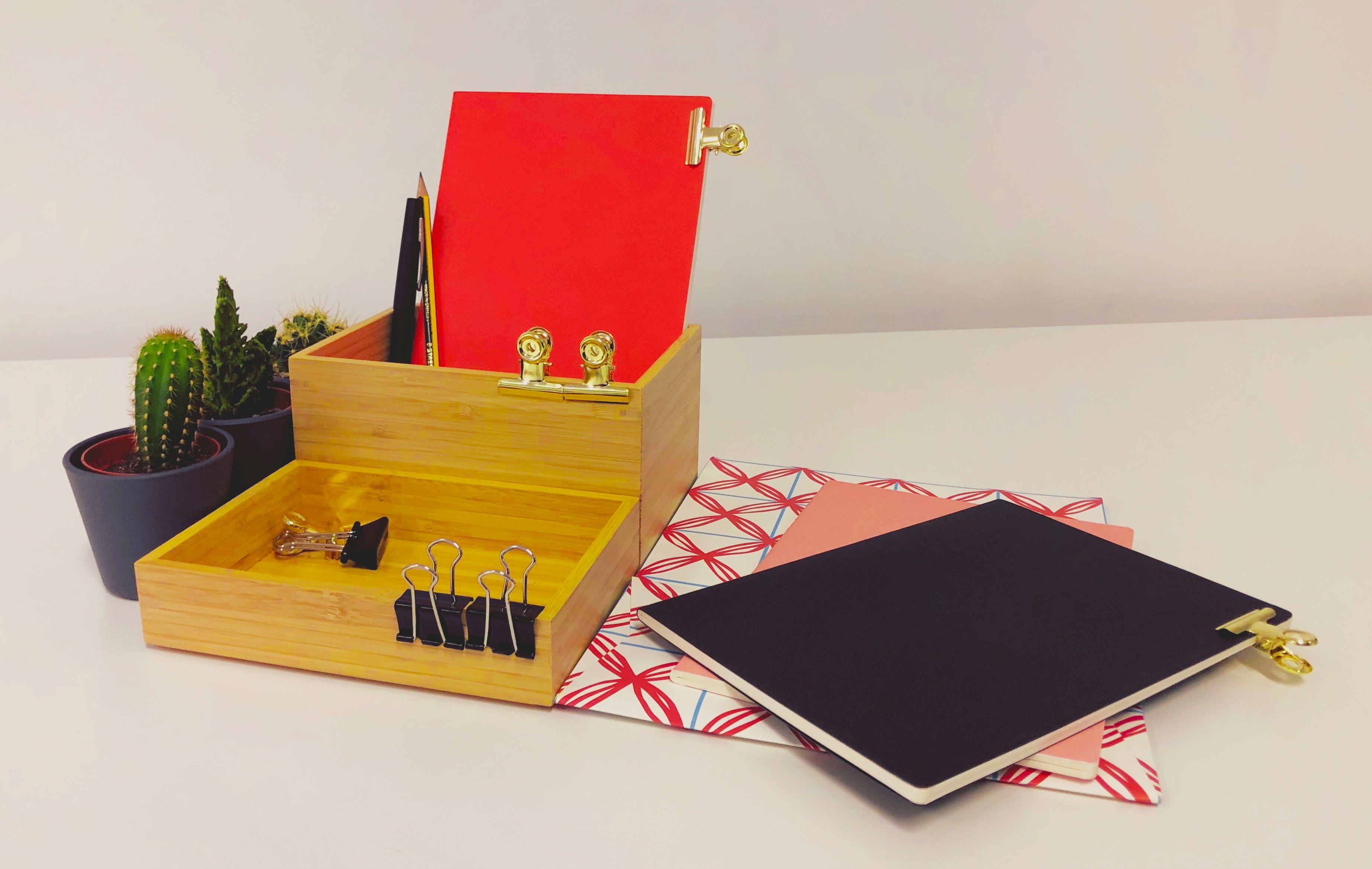 Our decoration, in the coworking office! Red & Cactus from the front