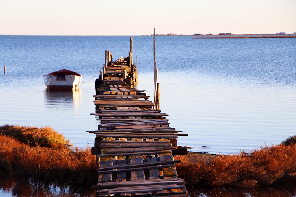 brown wooden dock on body of water during daytime