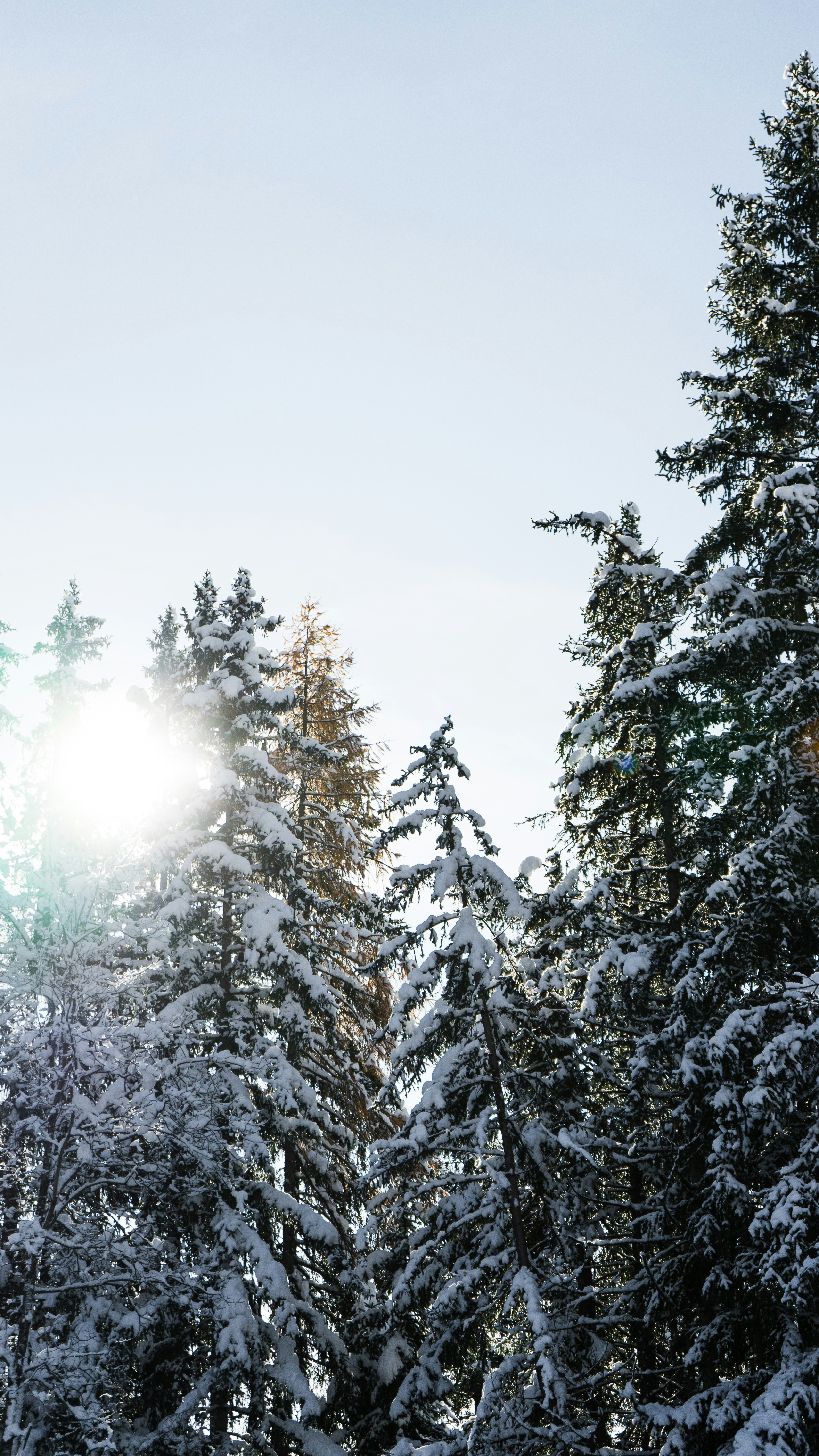 Photo by virussinside