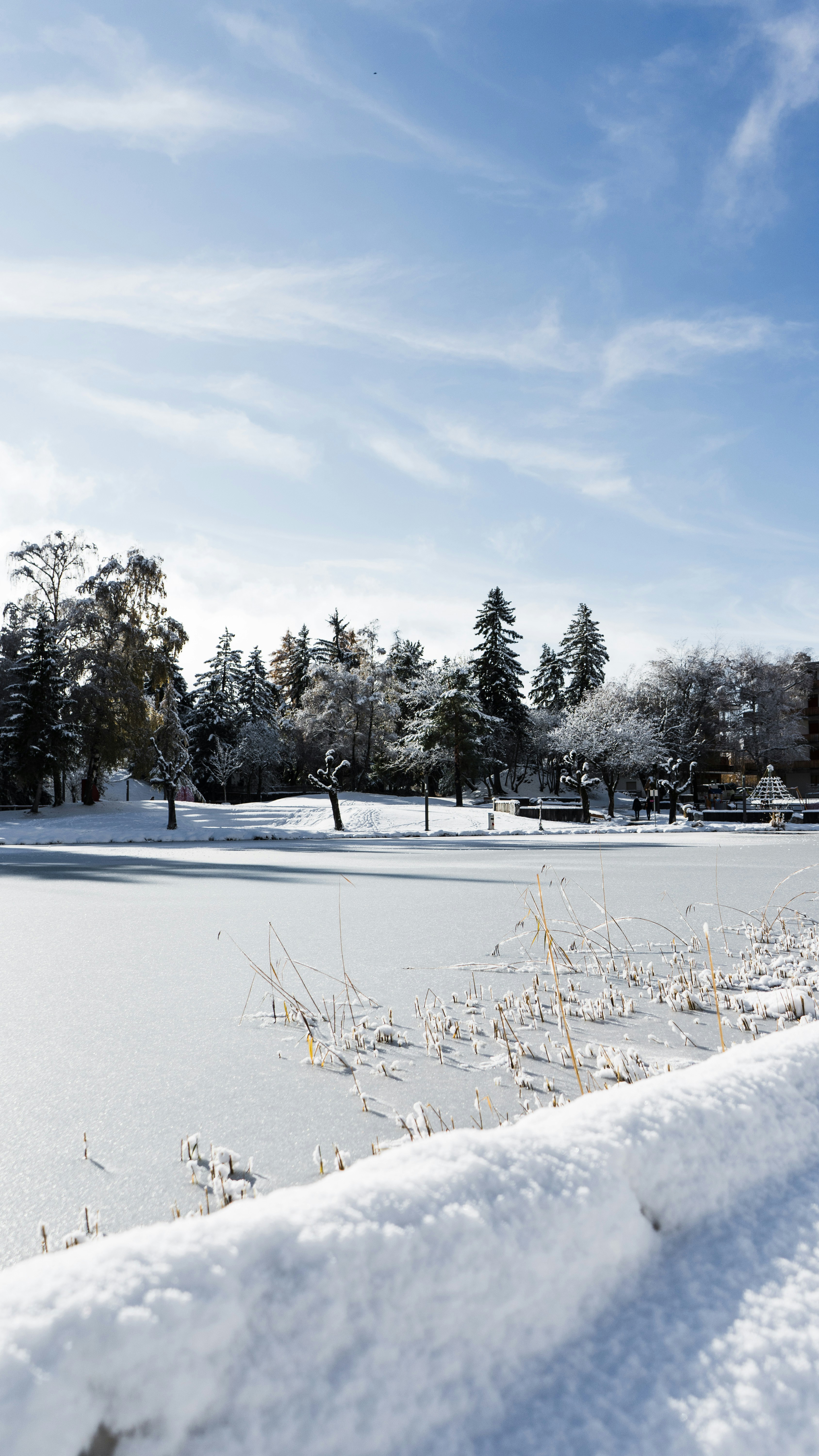 Photo by virussinside