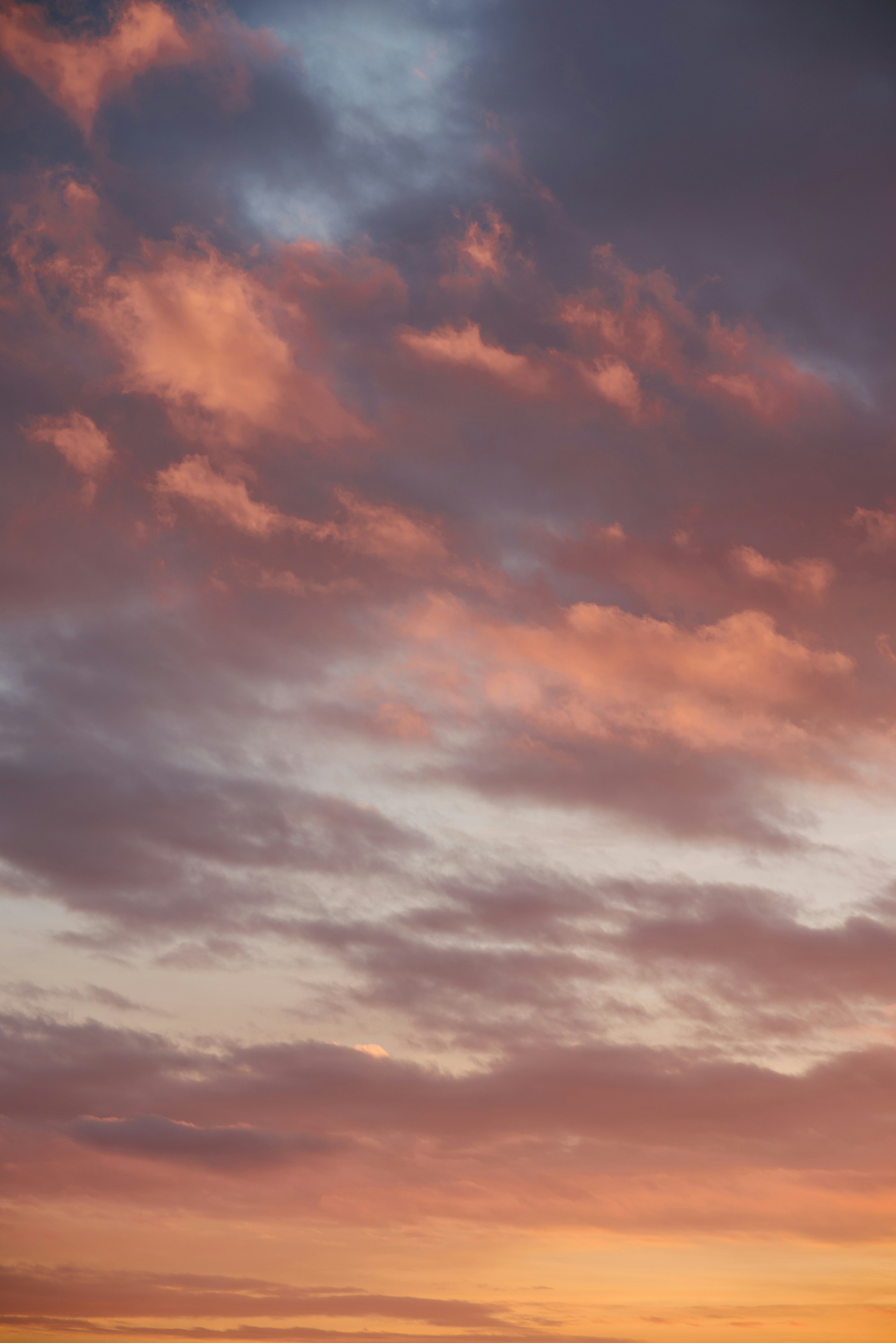 Photo by barnikakovacs