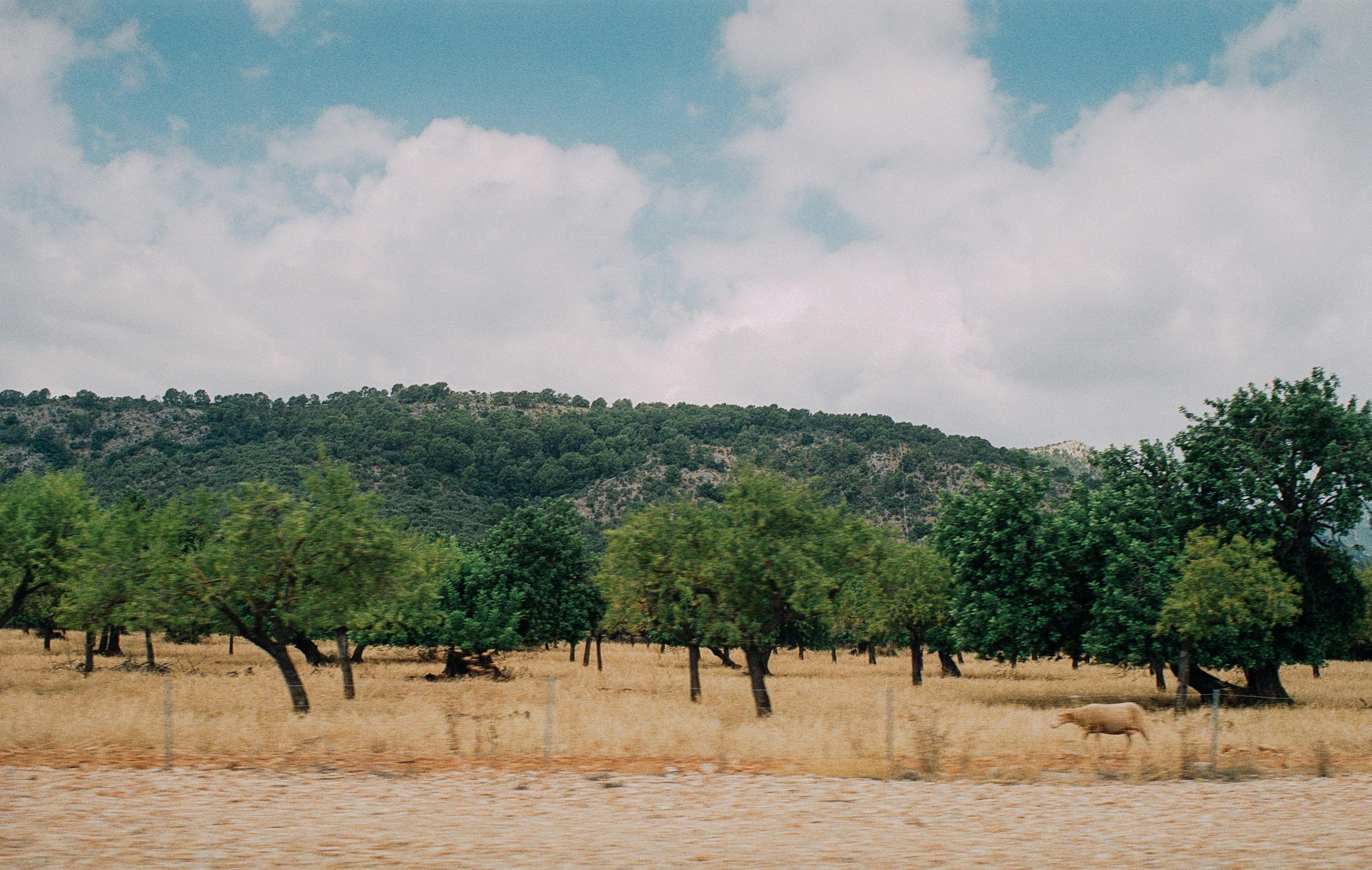 Photo by oscnord