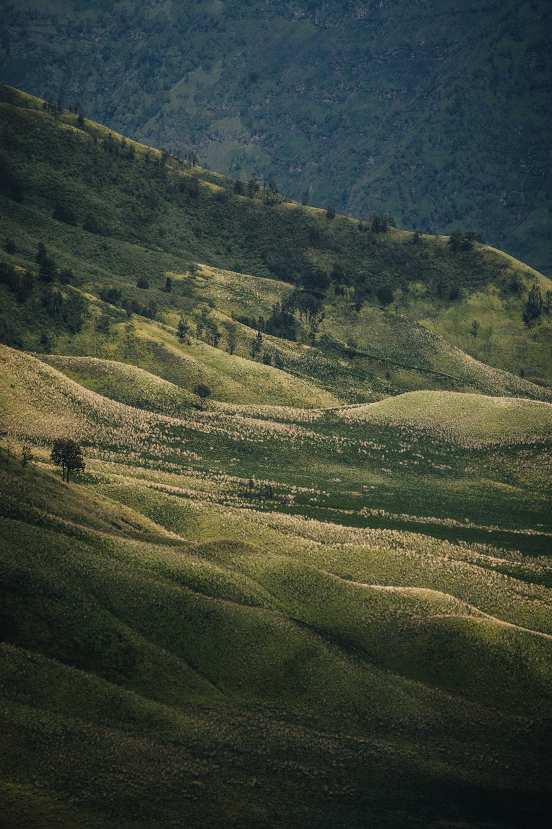 Hill photo spot Bromo Tengger Semeru National Park Indonesia