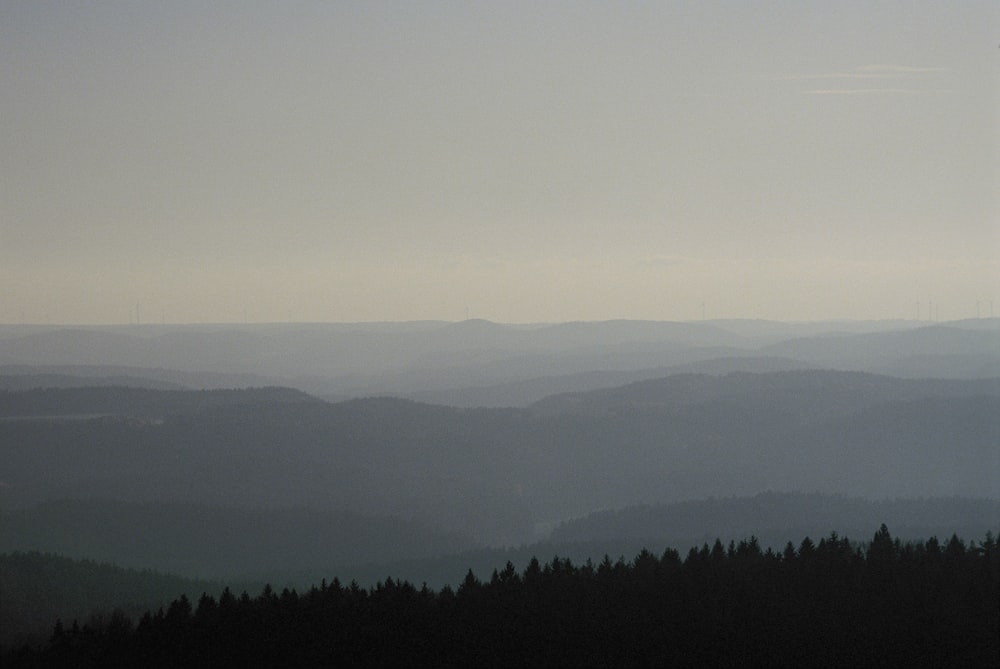 green trees on mountain during daytime