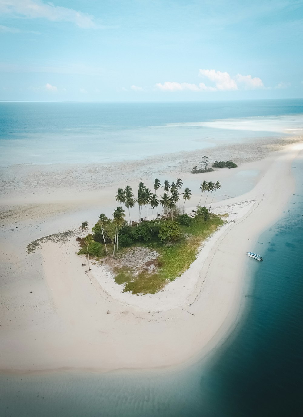 green trees on white sand beach during daytime