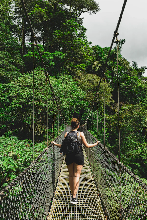Monteverde canopée brumeuse