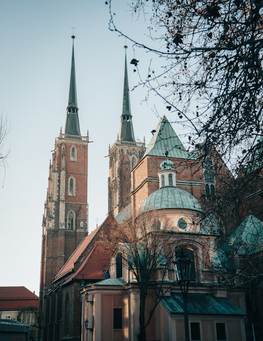 brown and beige concrete building in Wroclaw Cathedral Poland