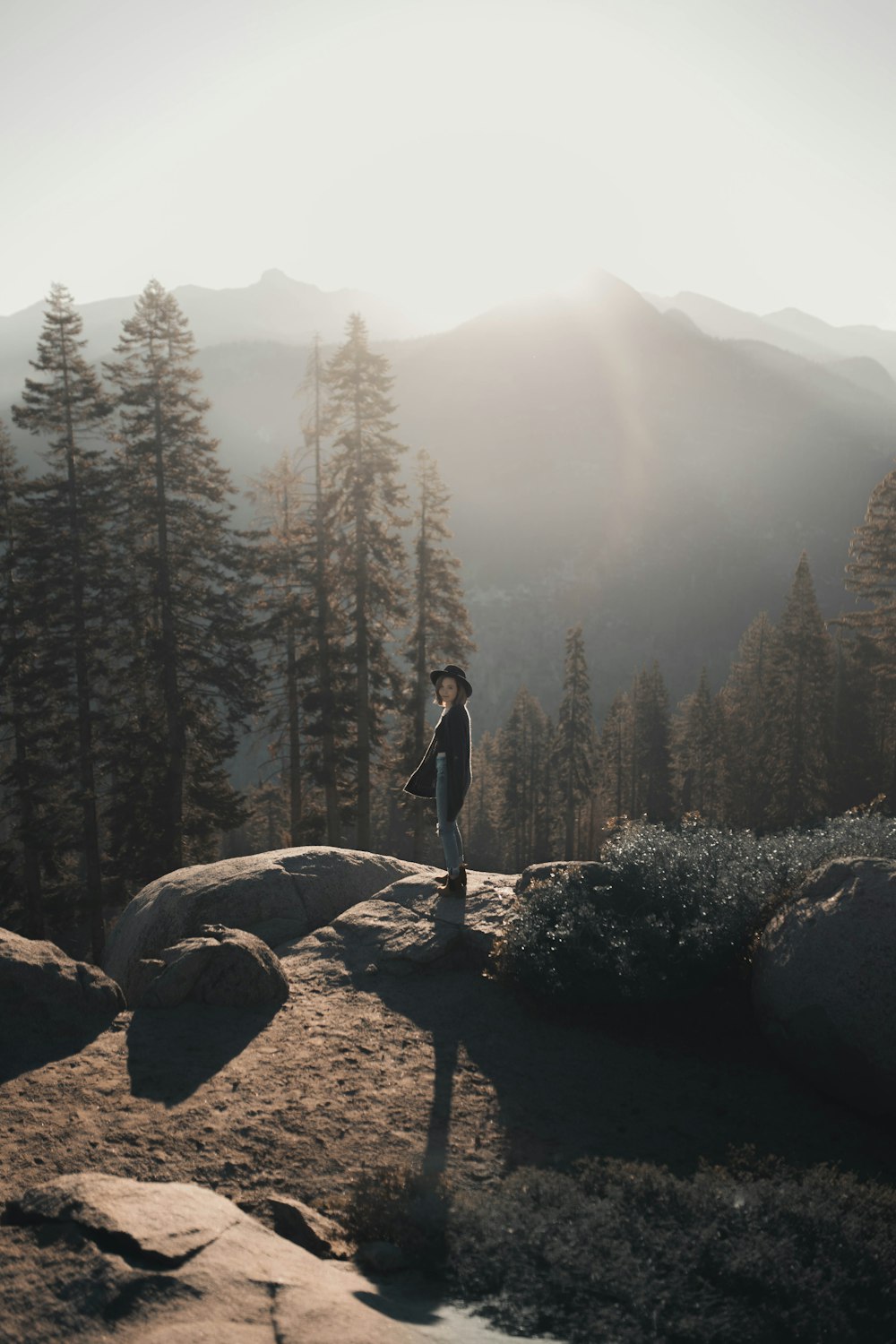 person in black jacket standing on rock near green pine trees during daytime