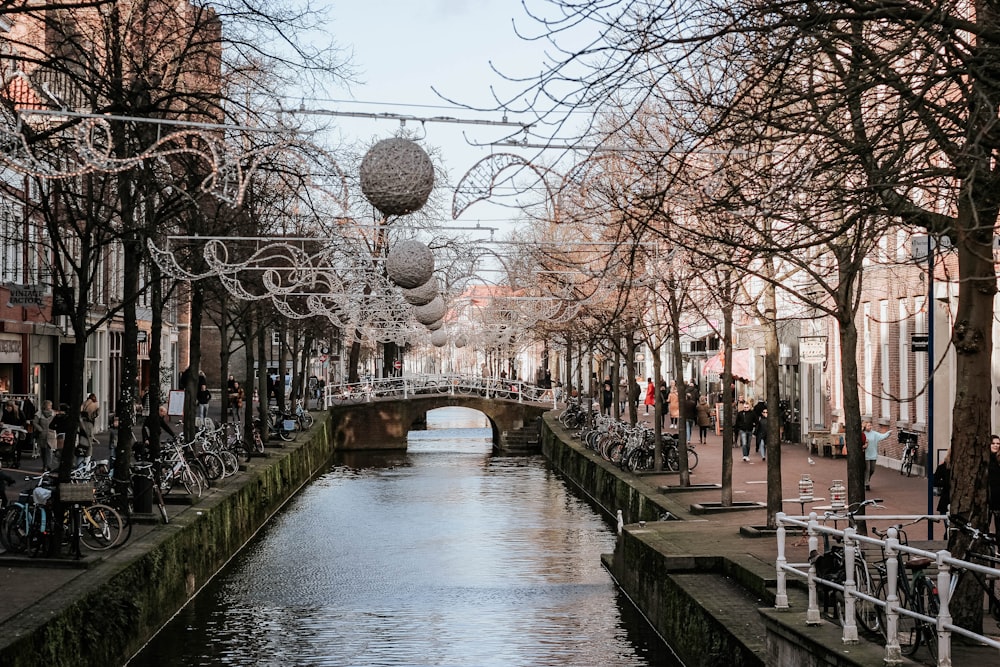 people walking on sidewalk near river during daytime