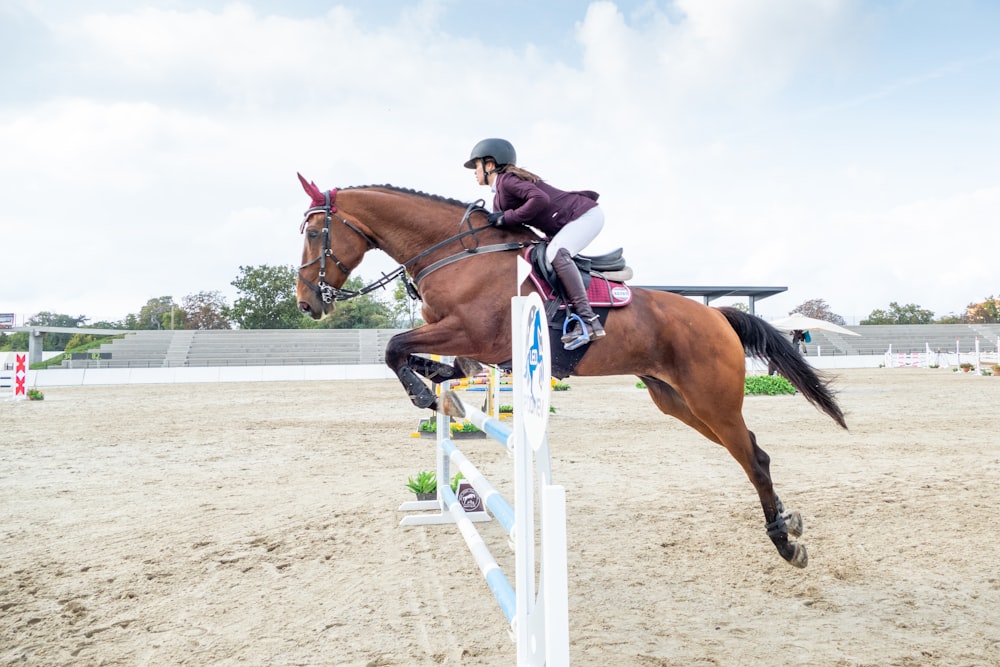 homem que monta cavalo marrom durante o dia