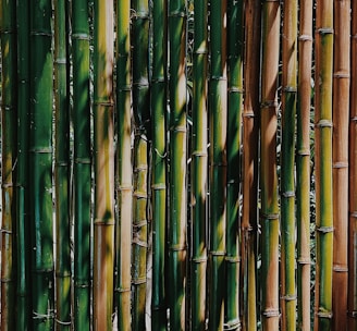 green bamboo sticks during daytime