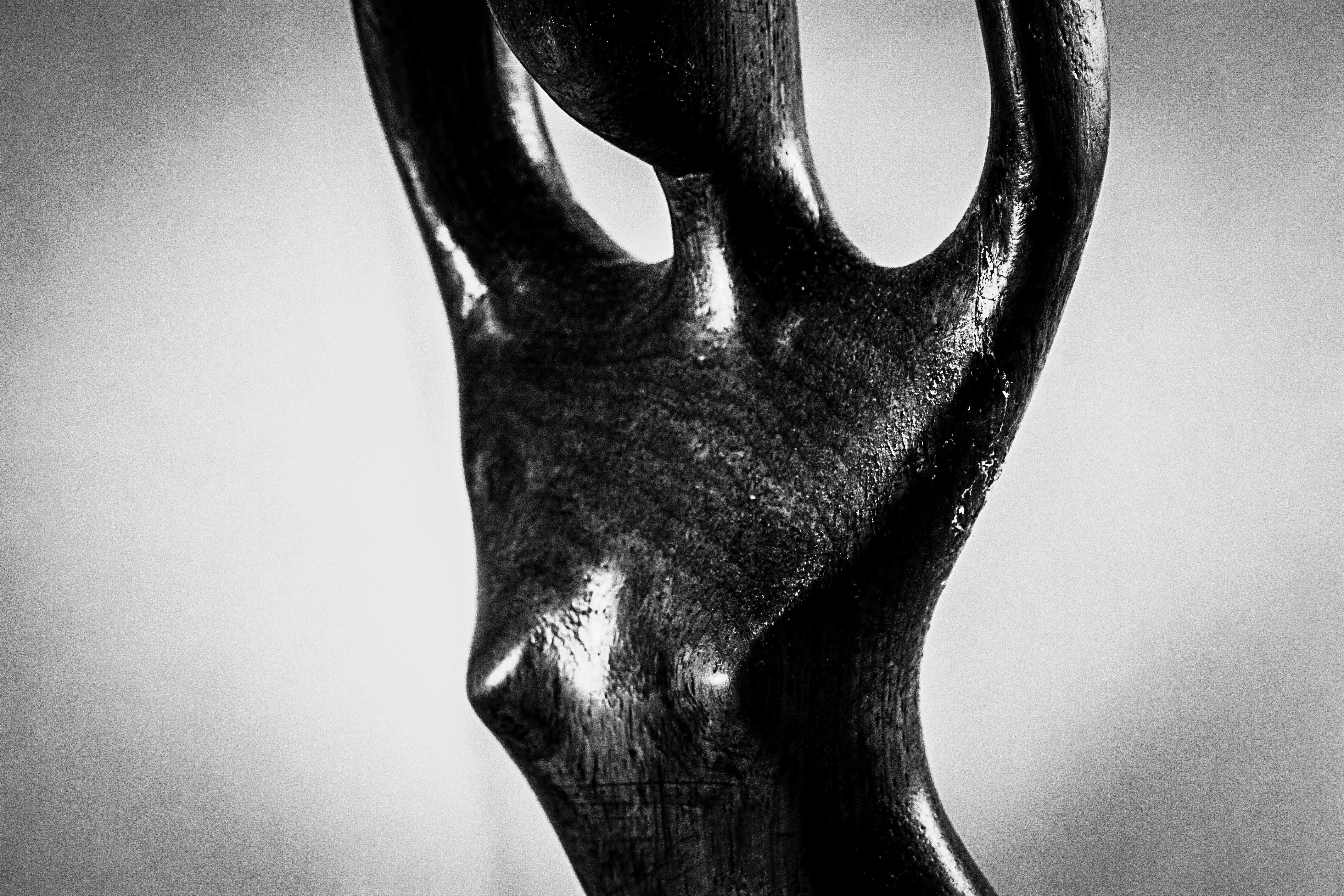 Photo by maurosharedpictures